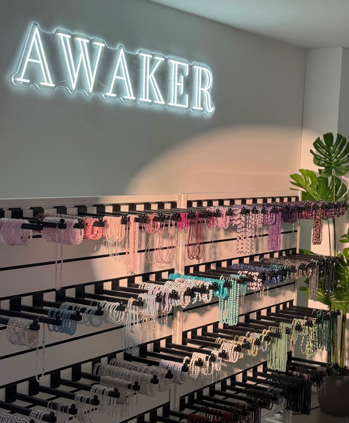 Awaker