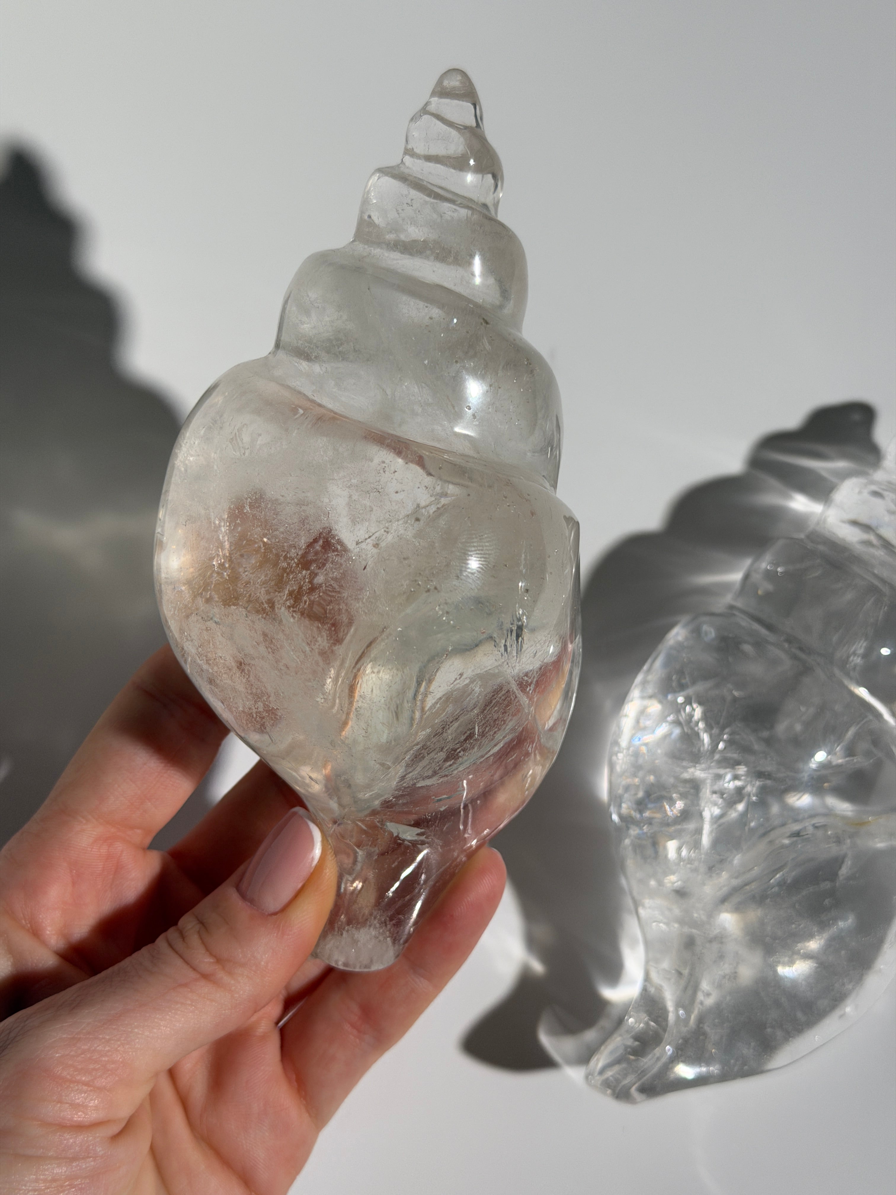 Bergkristall Muschel | High Quality 🐚