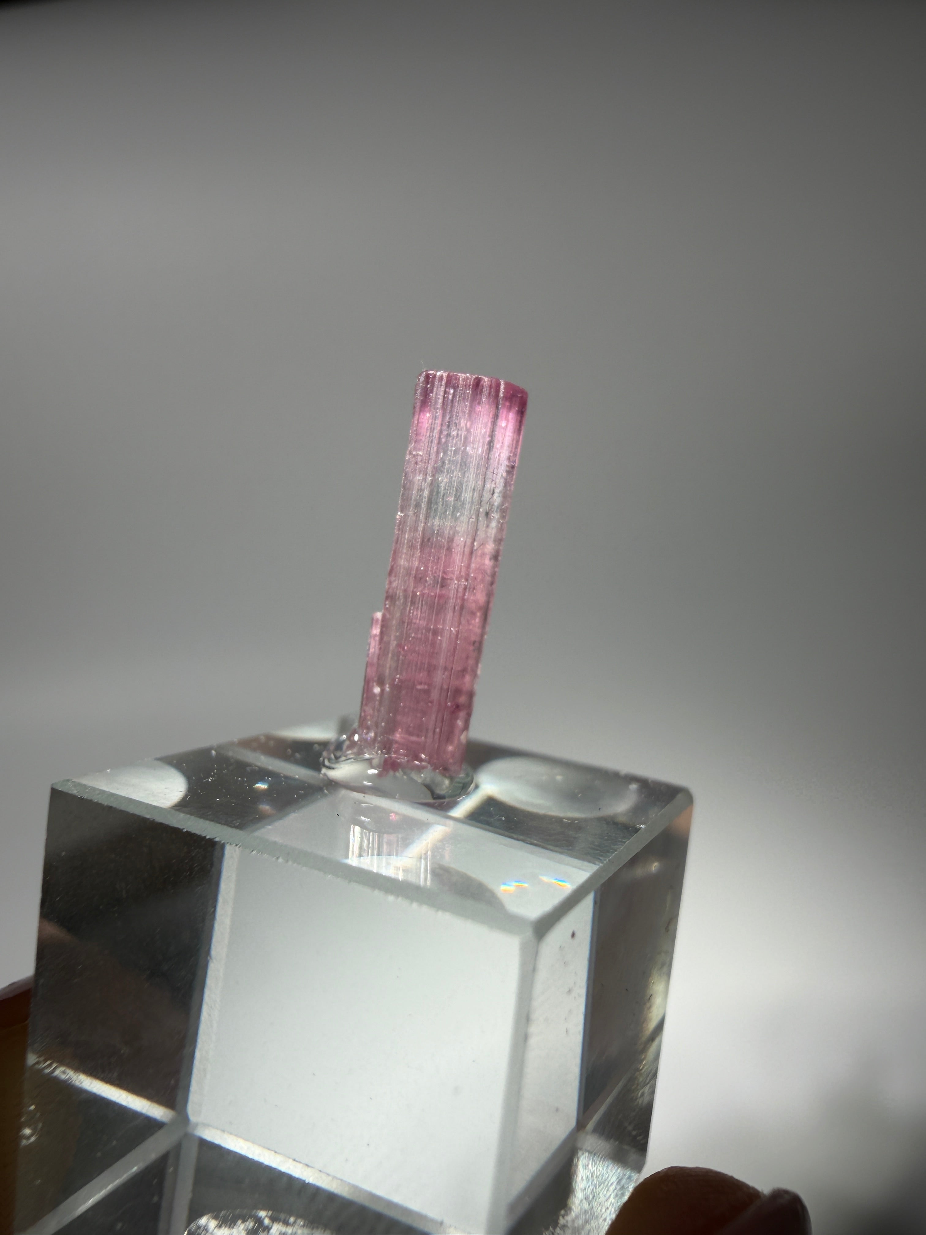 Pink Turmalin Specimen | High Quality