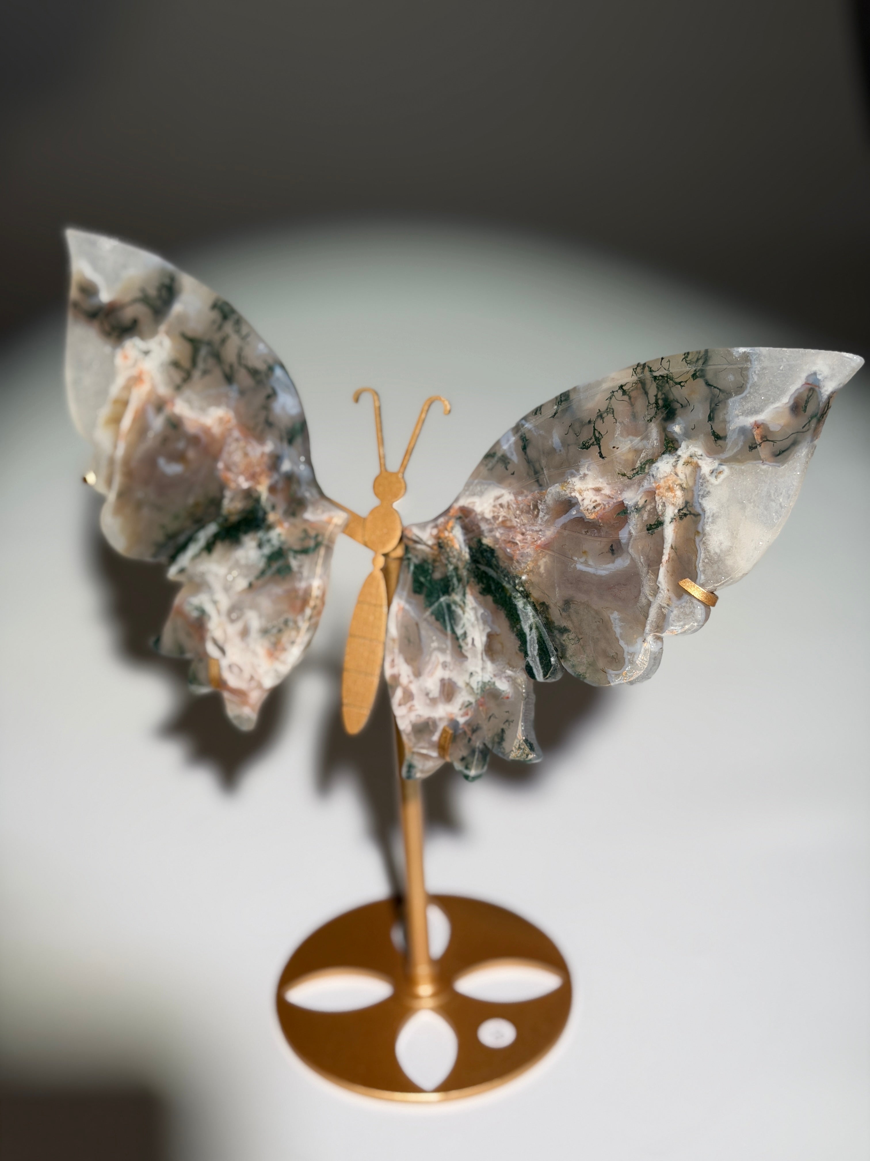 Pink Moosachat Schmetterling | Rare
