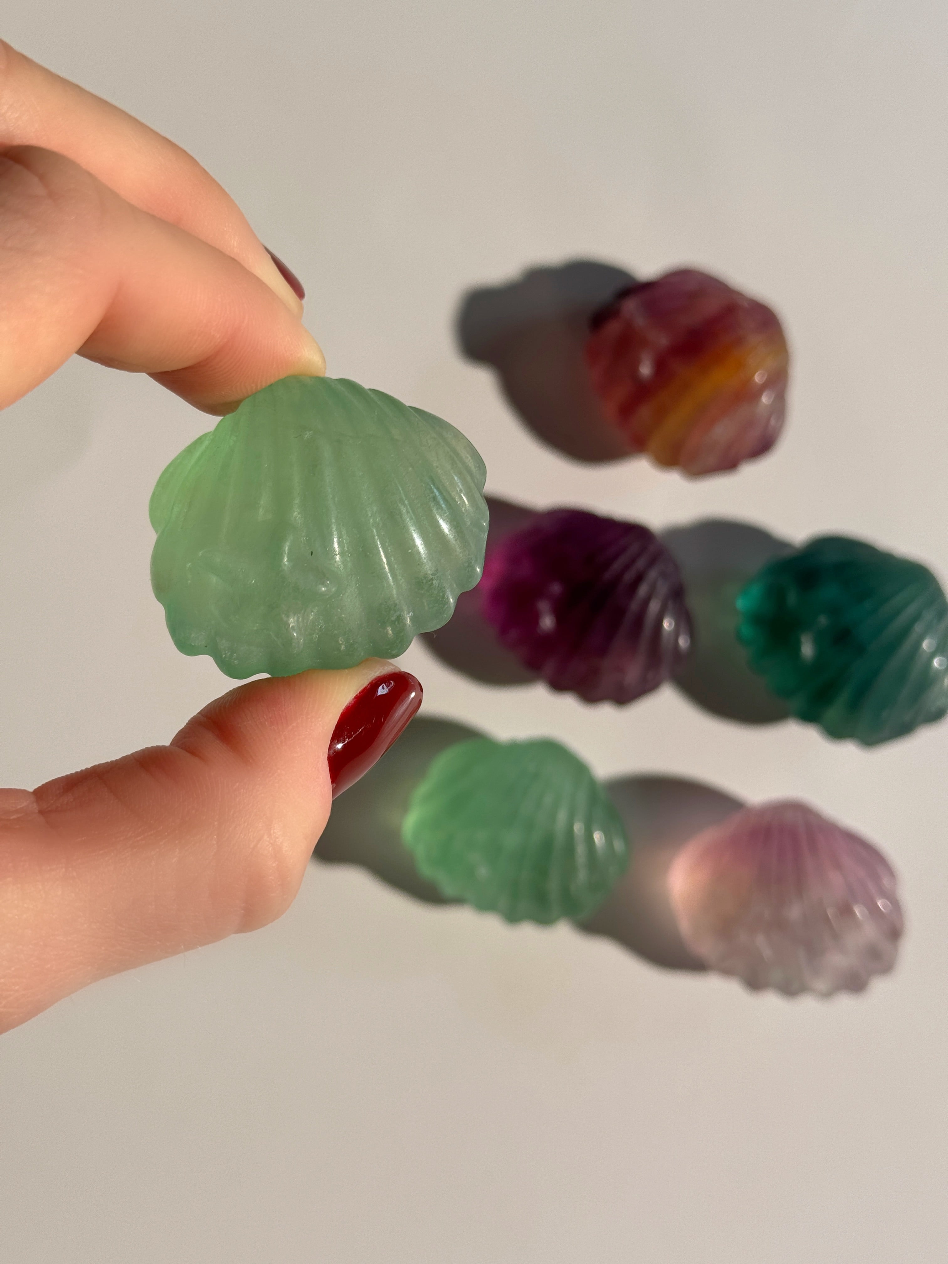 Fluorit Muschel mit Seestern