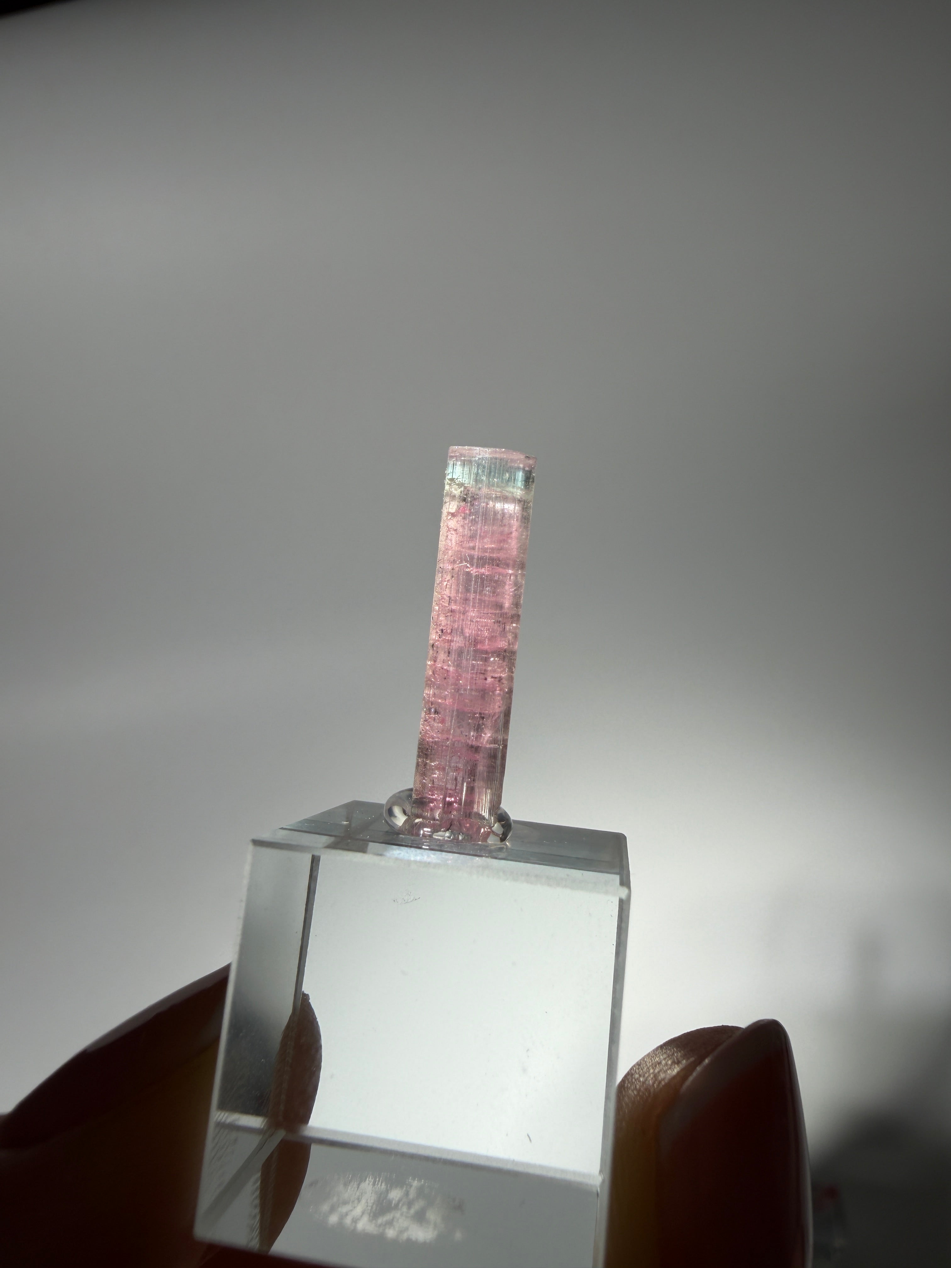 Pink Turmalin Specimen | High Quality