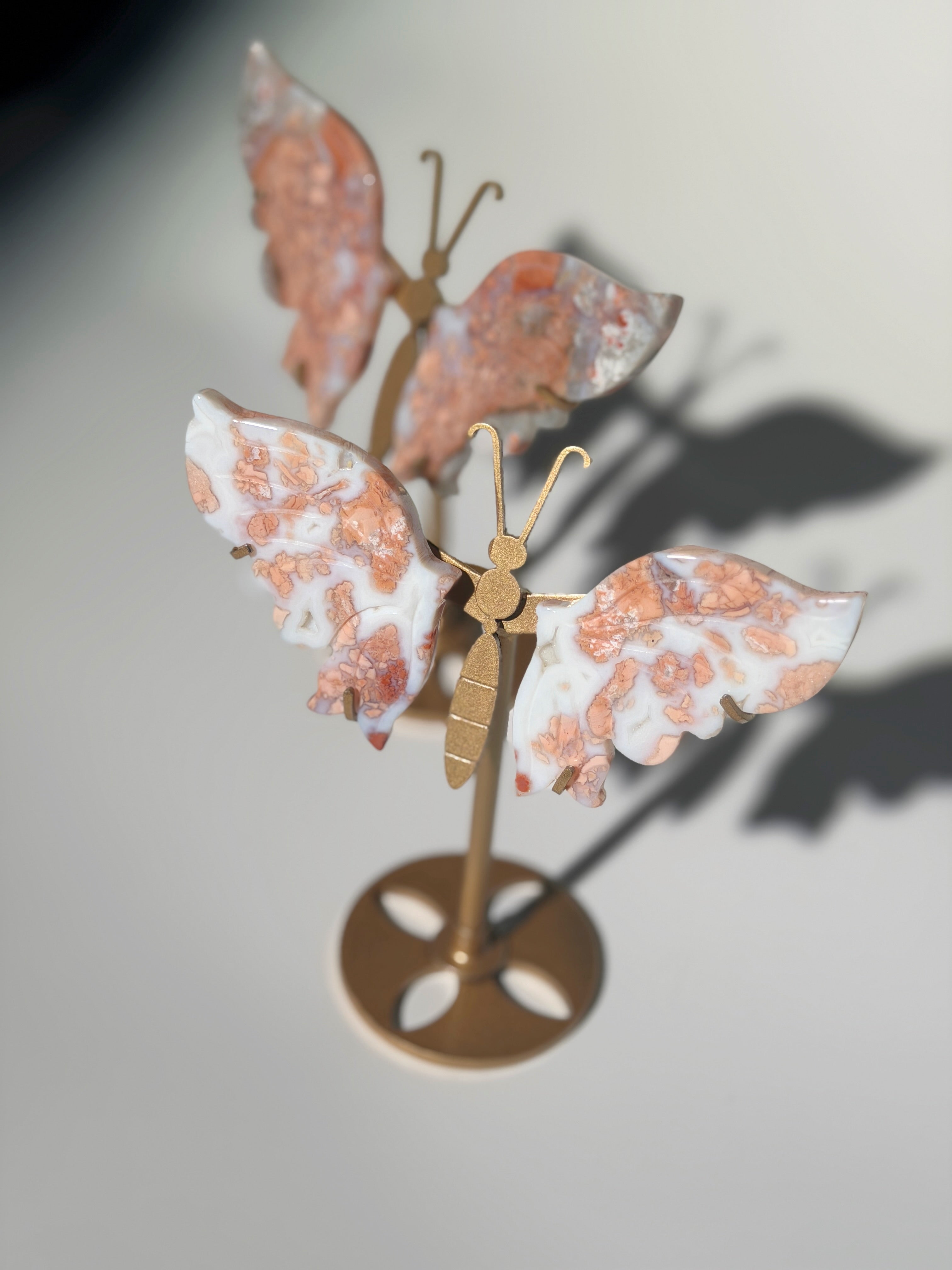 Cotton Candy Achat Schmetterling