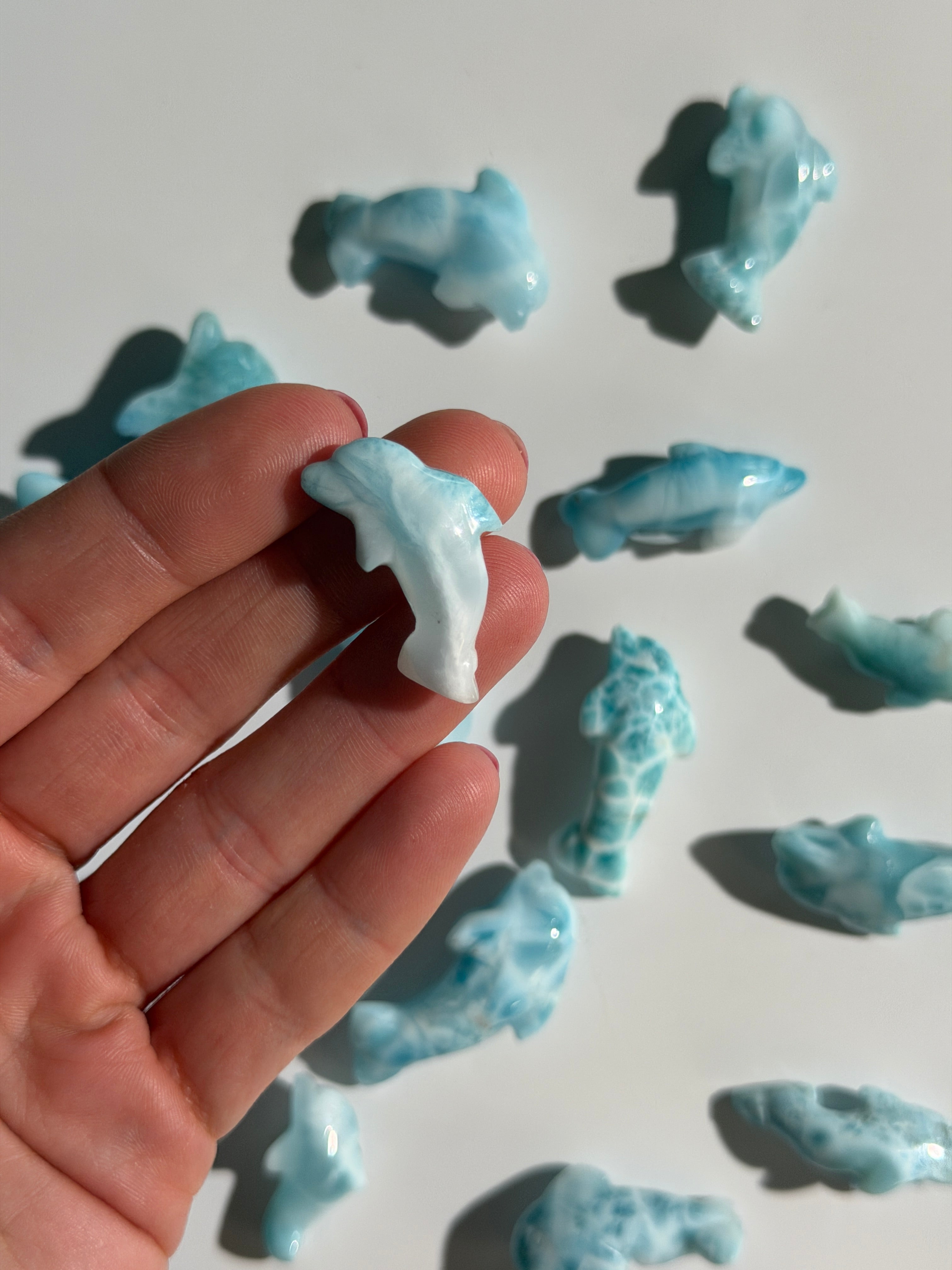 Larimar Delfin | High Quality