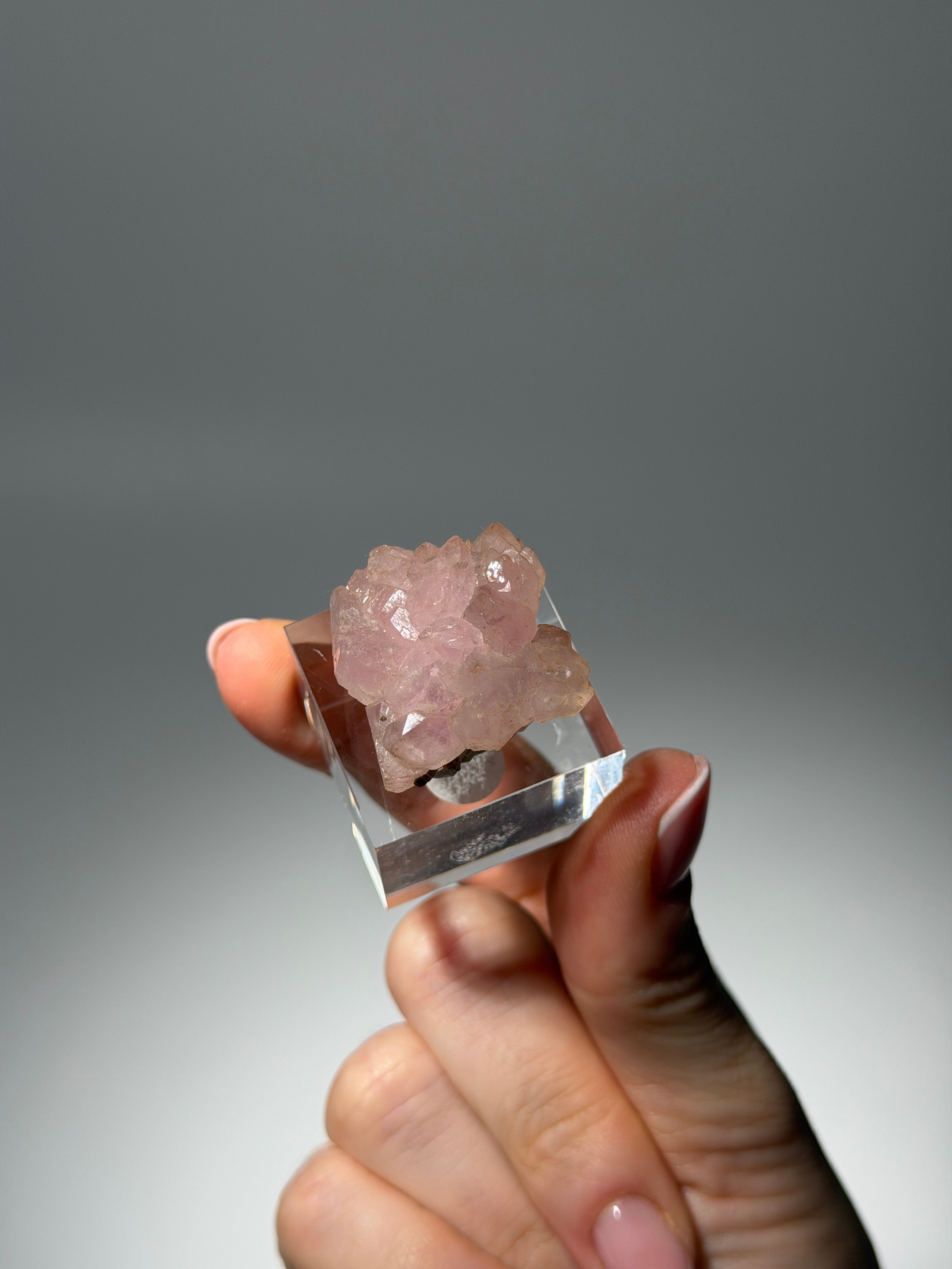 Kristallisierter Rosenquarz Specimen | Rare