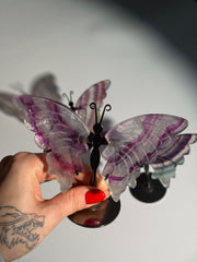 Fluorit Schmetterling | SALE
