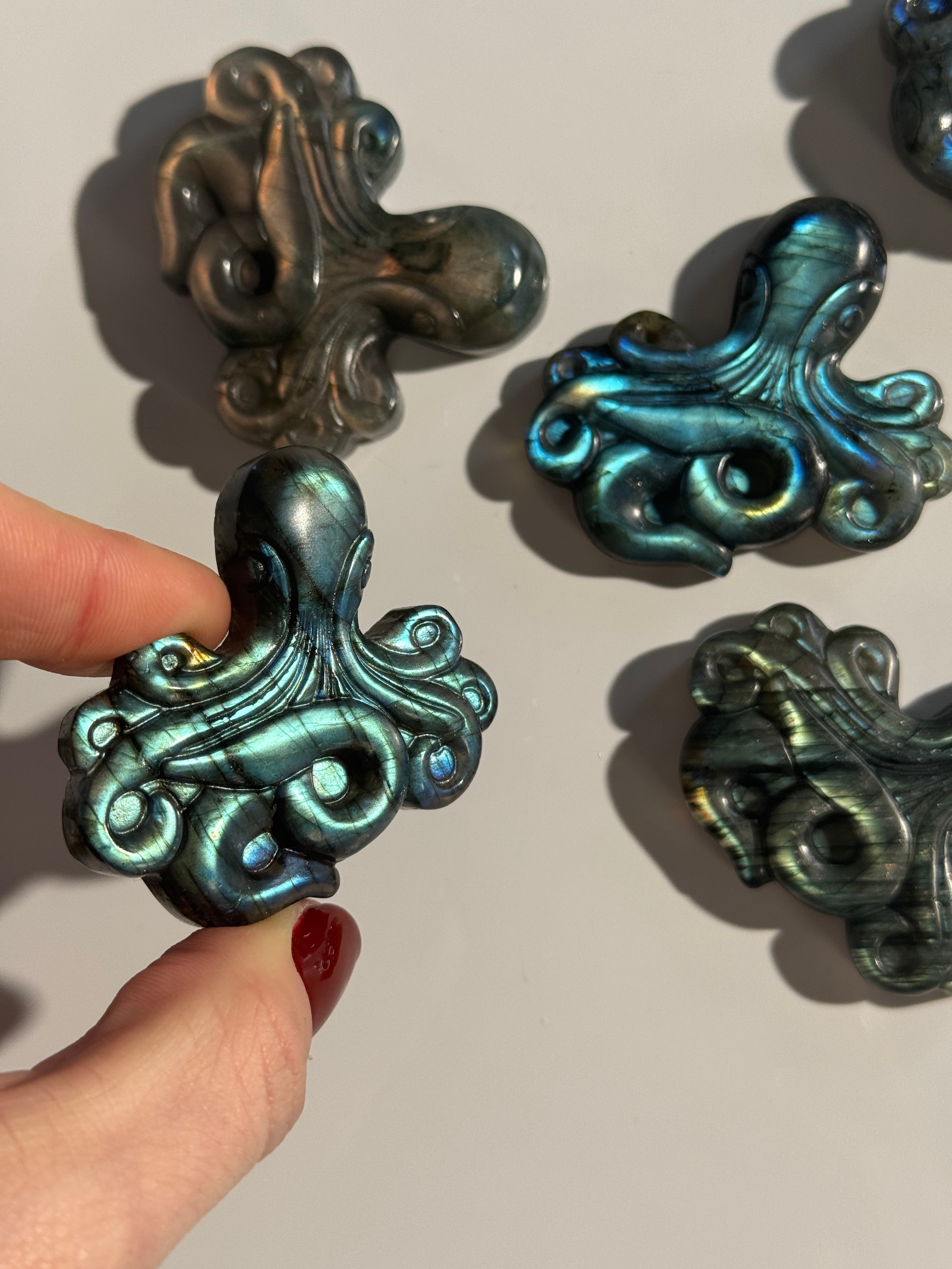 Labradorit Oktopus