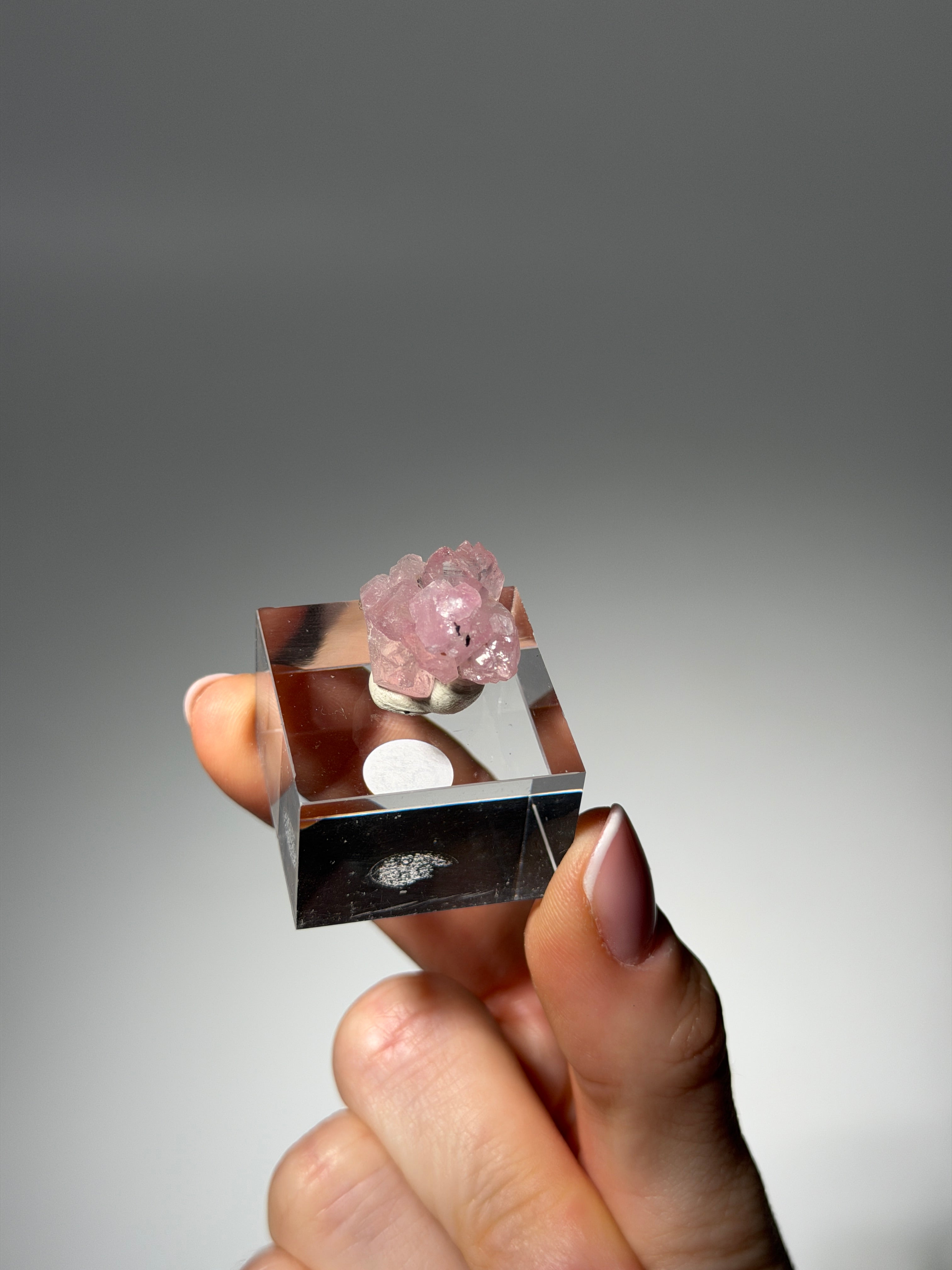 Kristallisierter Rosenquarz Specimen | Rare