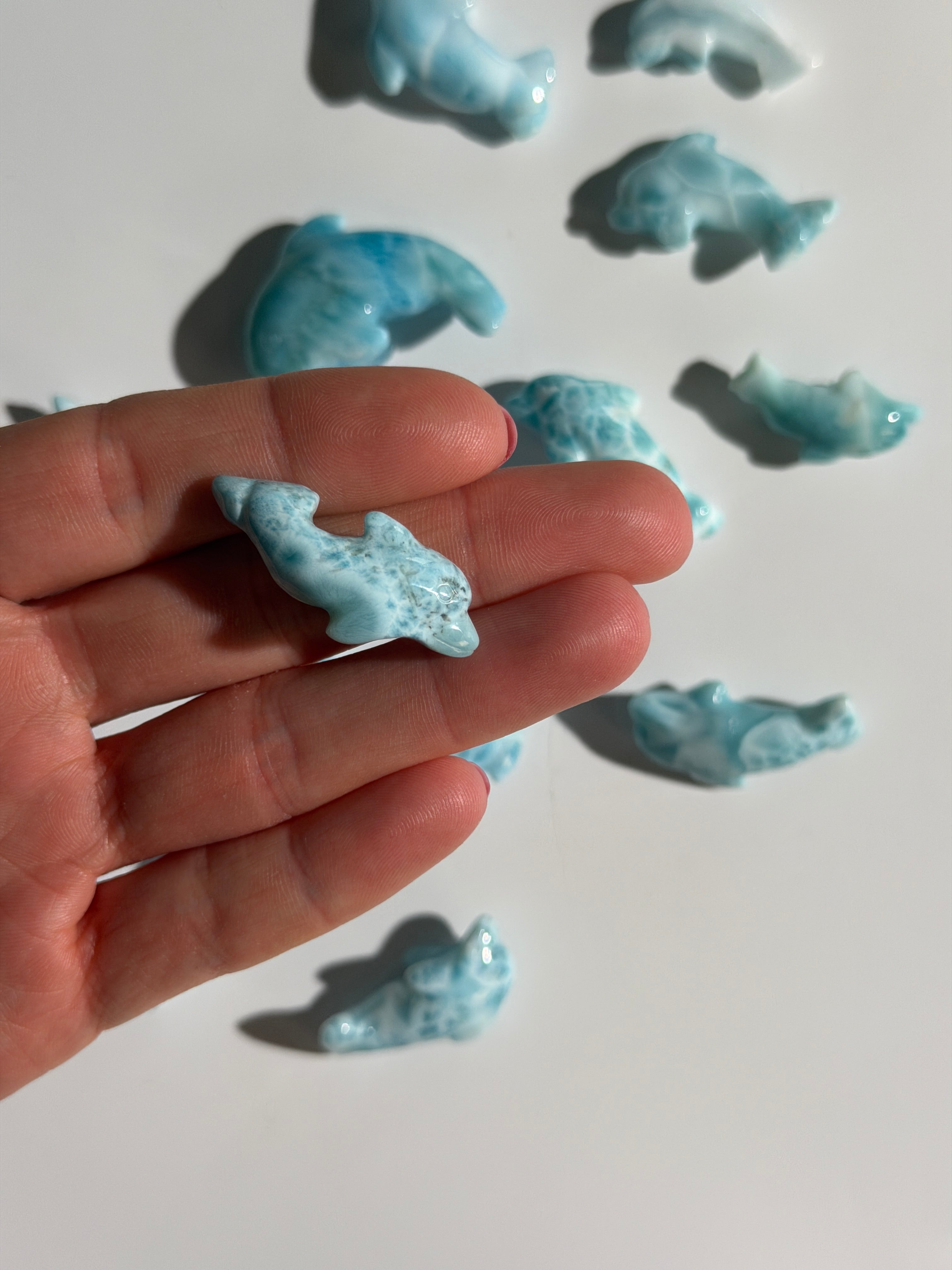 Larimar Delfin | High Quality