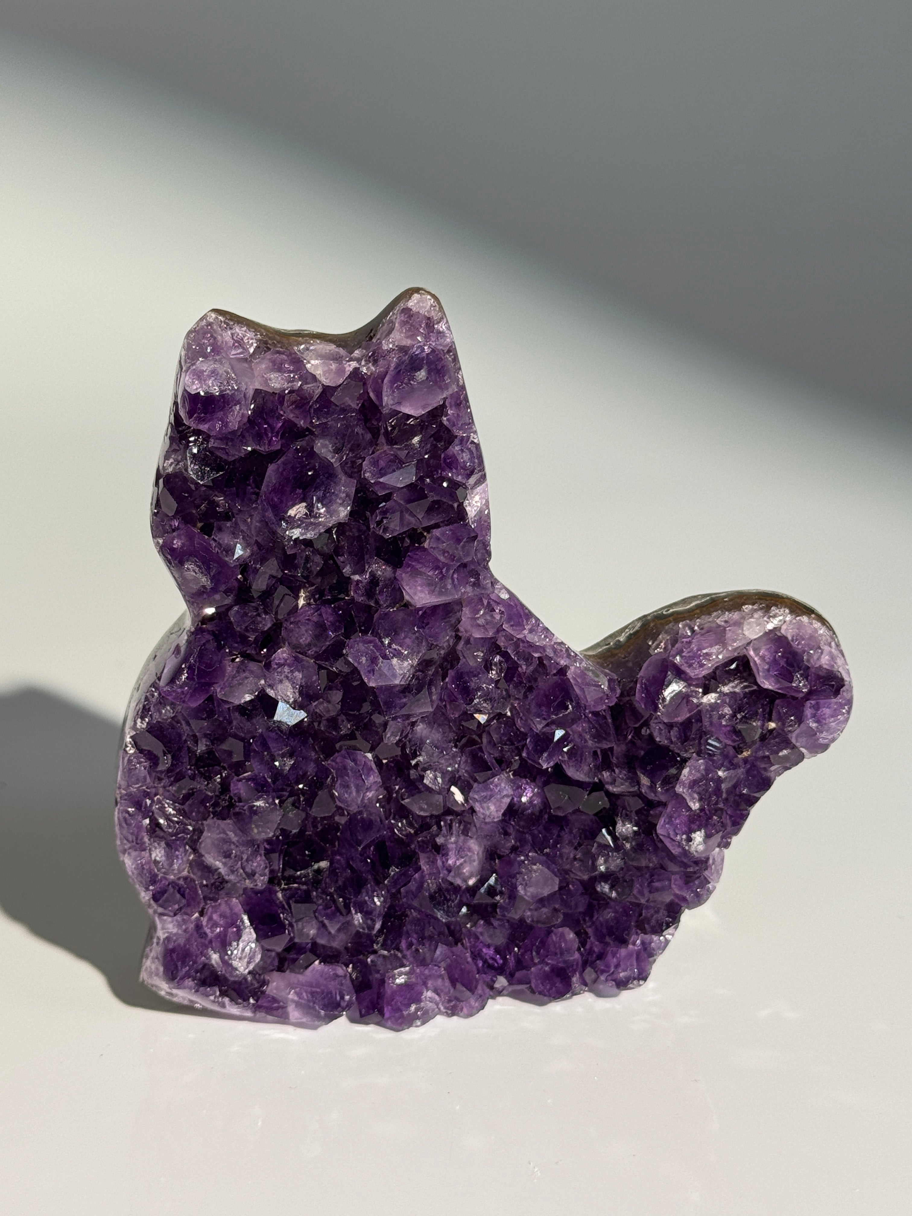 Amethyst Katze M