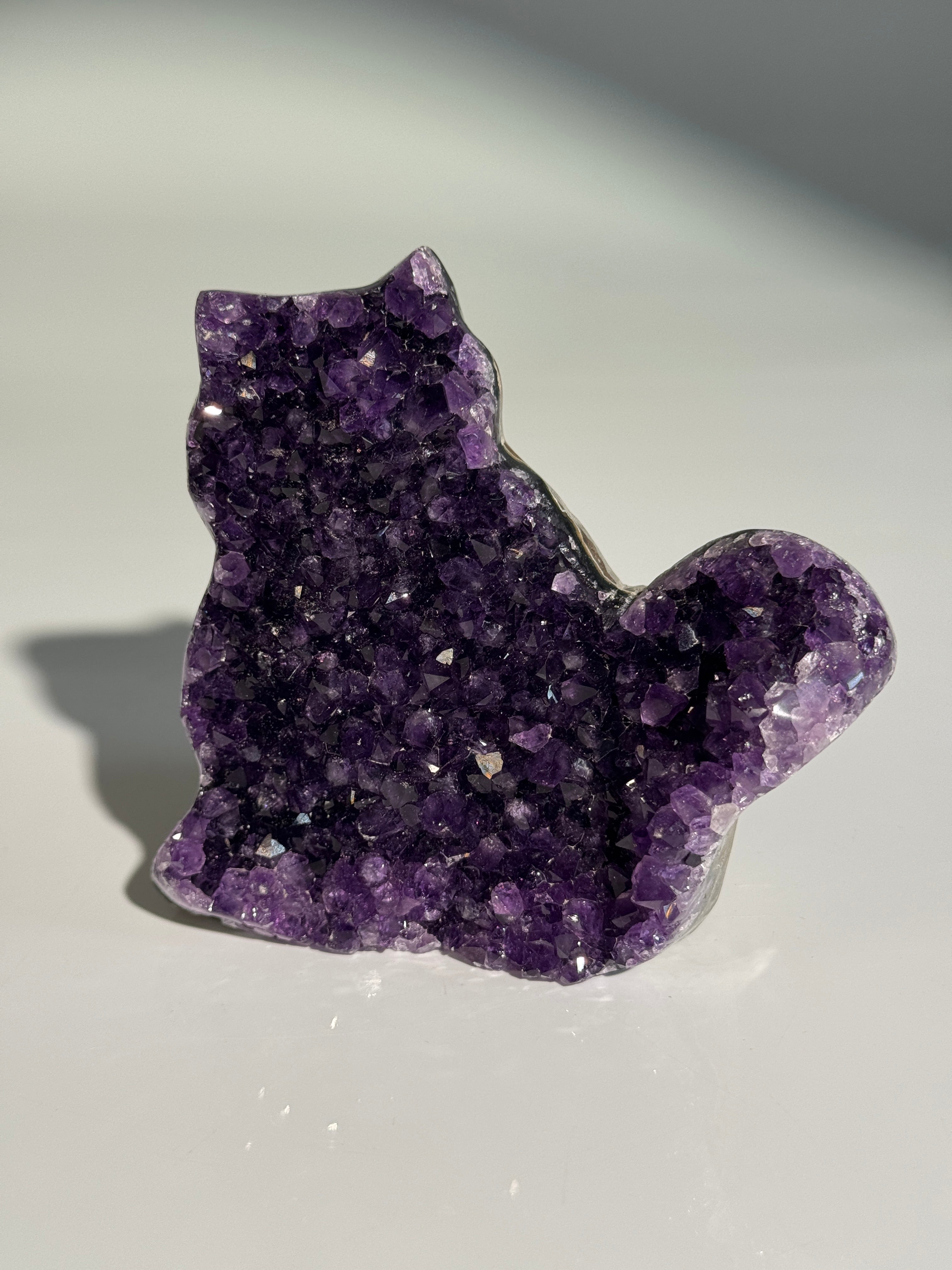 Amethyst Katze L