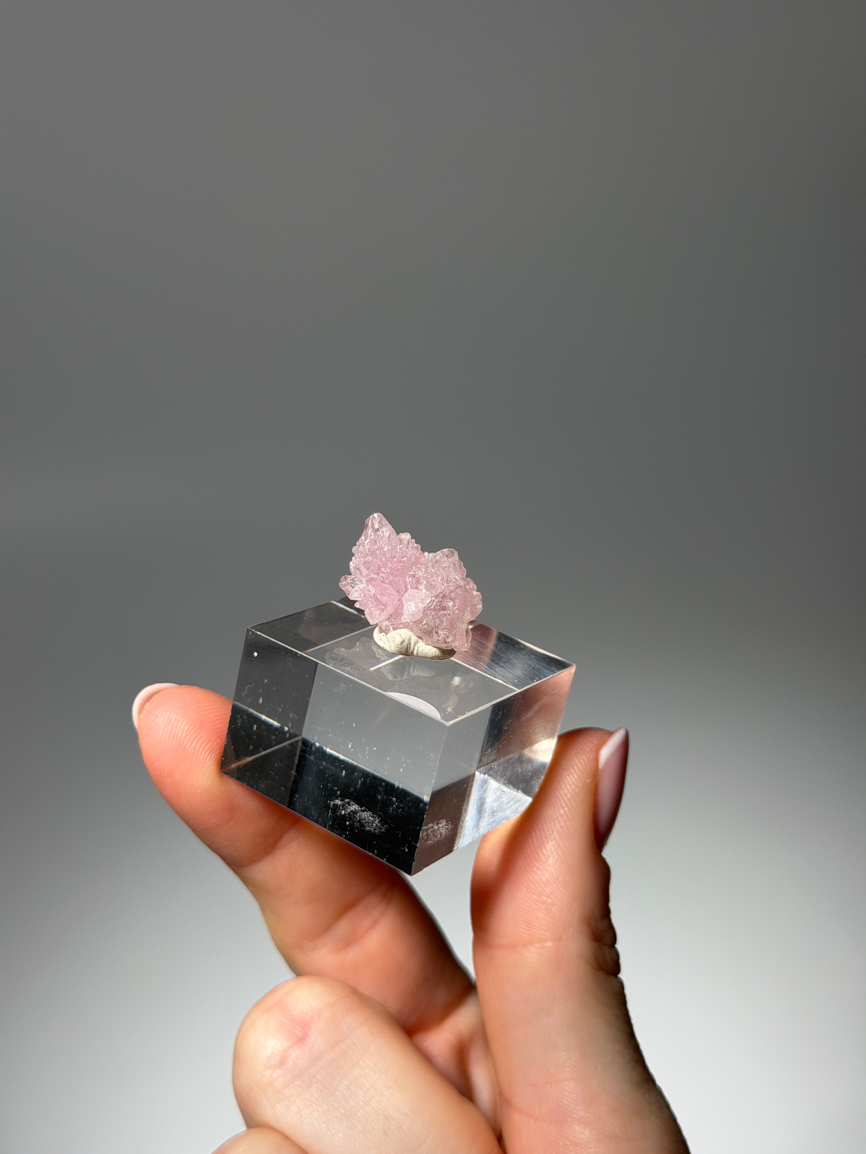 Kristallisierter Rosenquarz Specimen | Rare