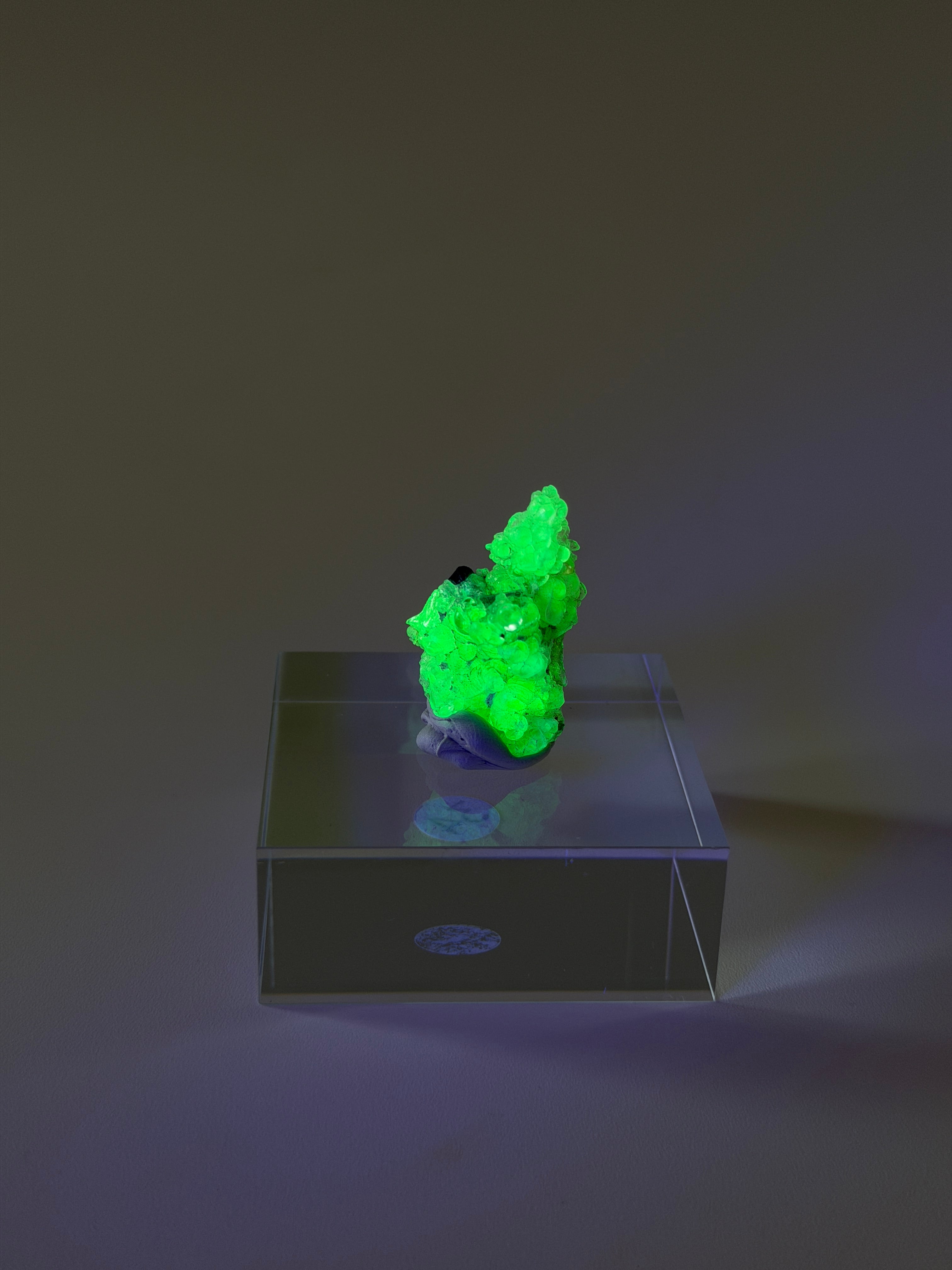 Hyalit Opal | starke UV-Reaktion | Medium