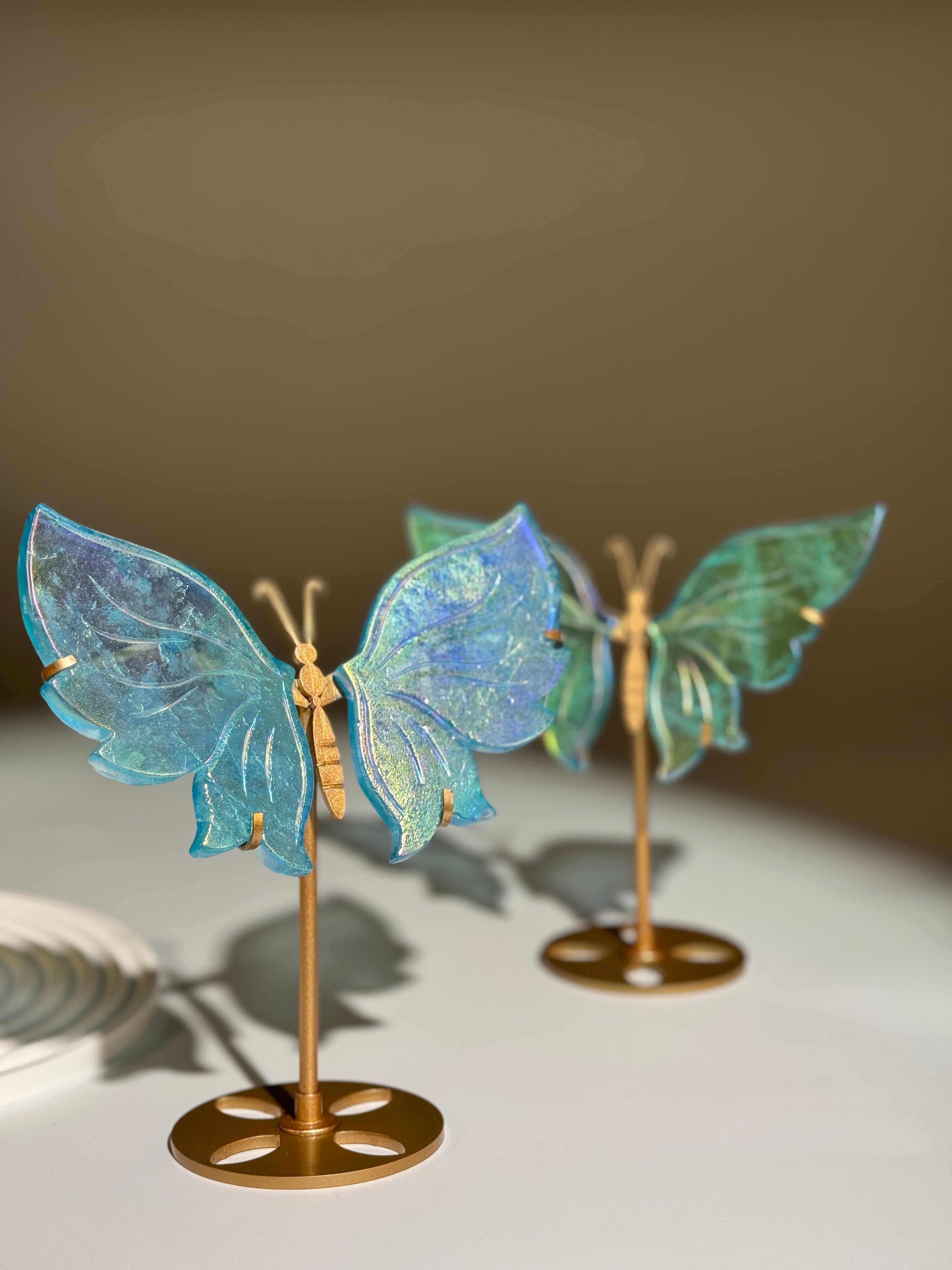 Aqua Aura Schmetterling