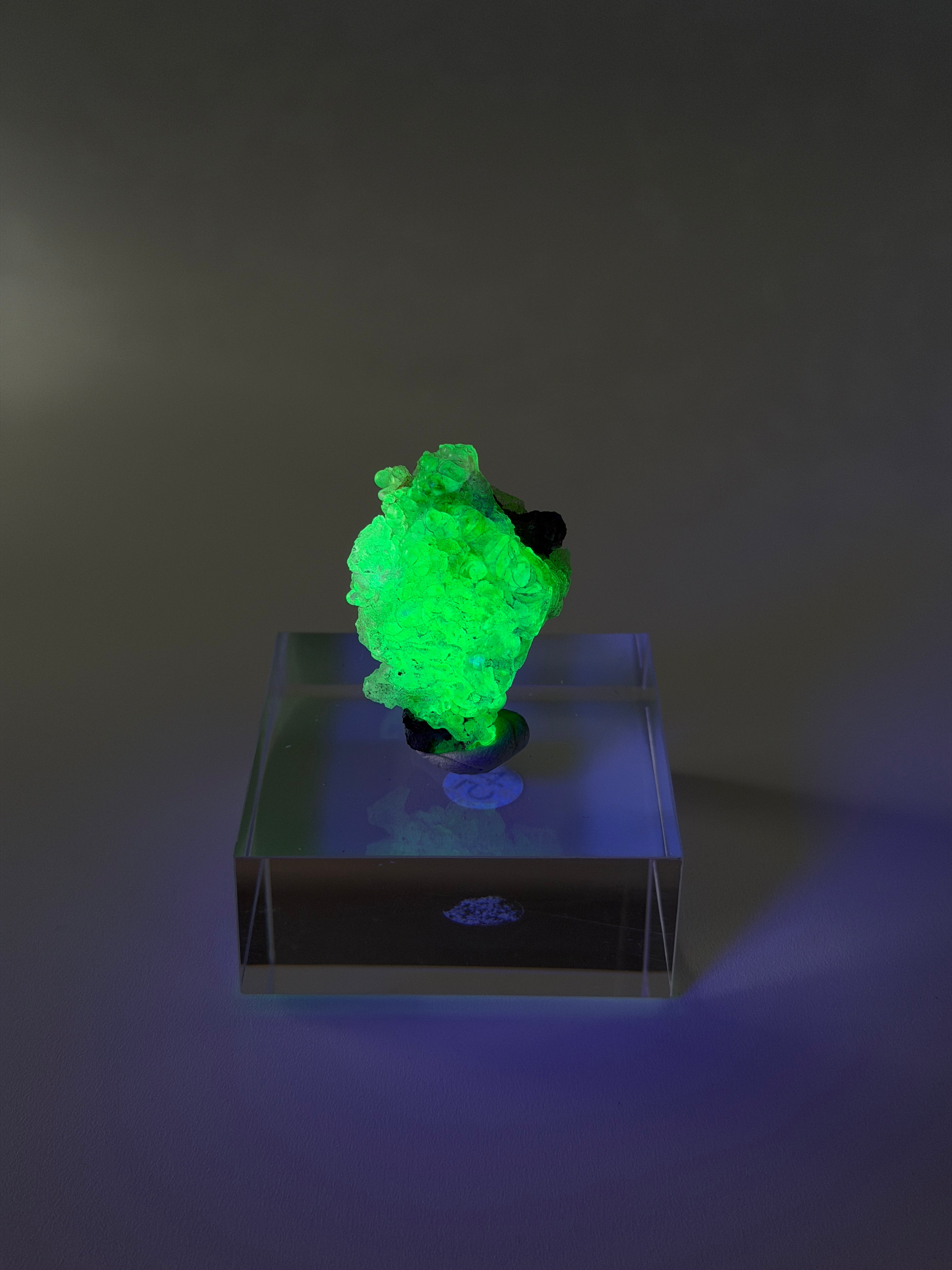 Hyalit Opal | starke UV-Reaktion | Large