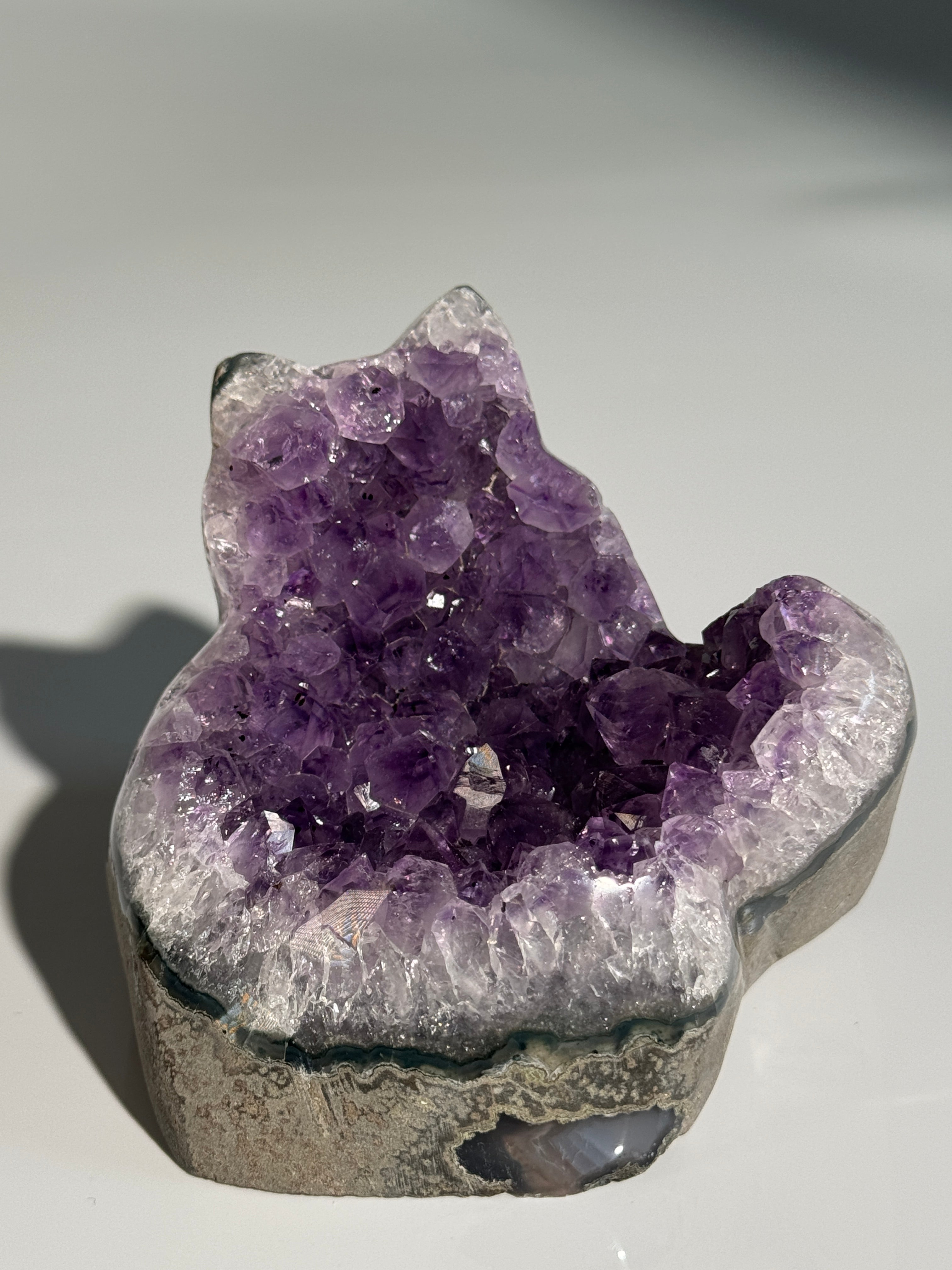 Amethyst Katze M