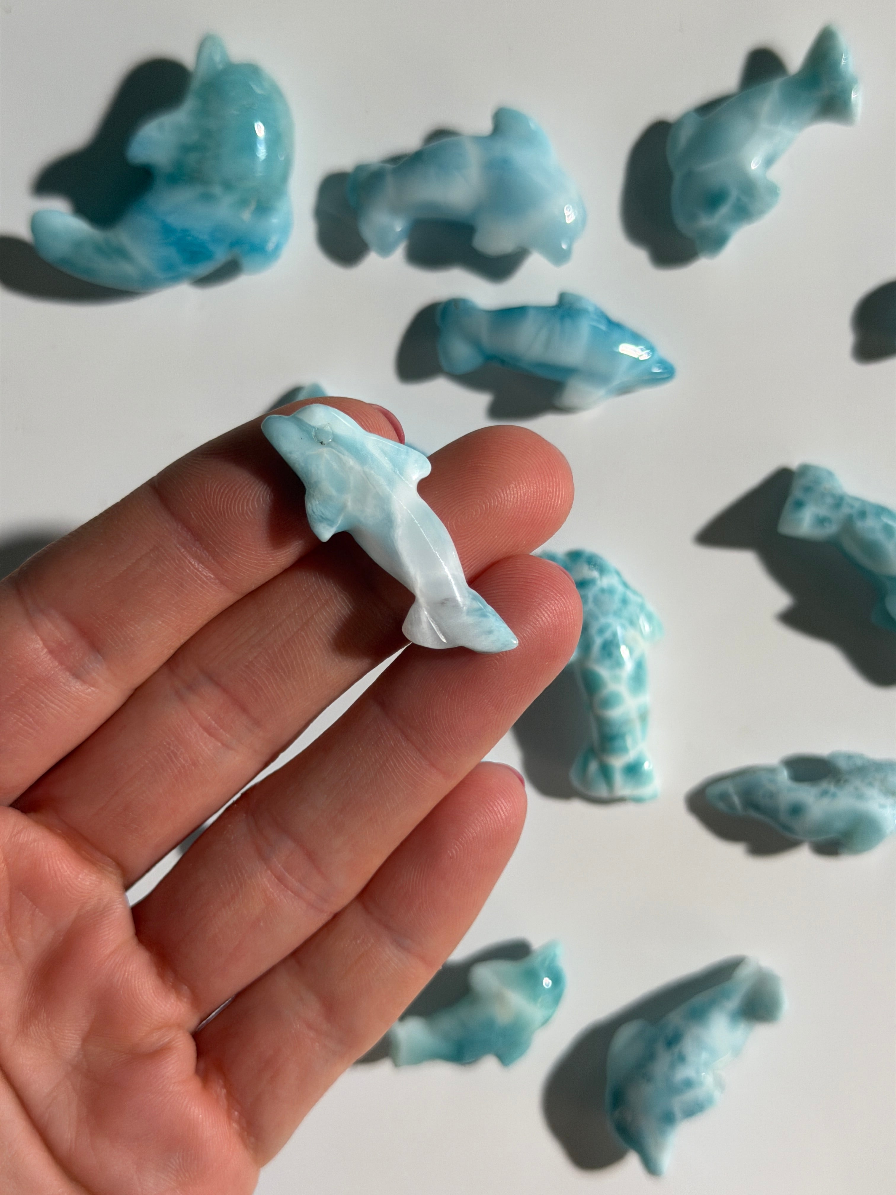 Larimar Delfin | High Quality