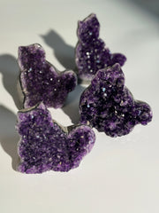 Amethyst Katze L