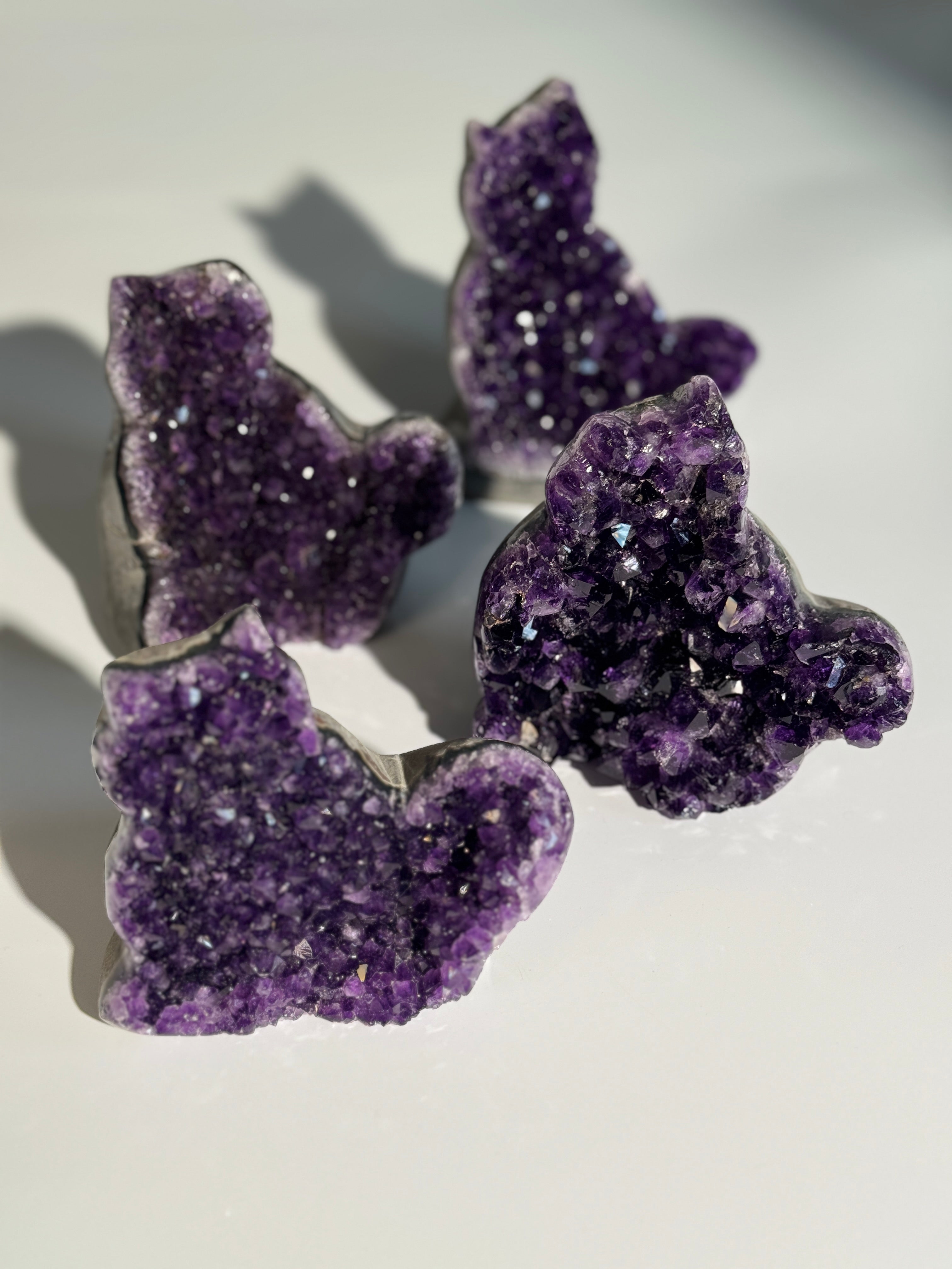 Amethyst Katze L