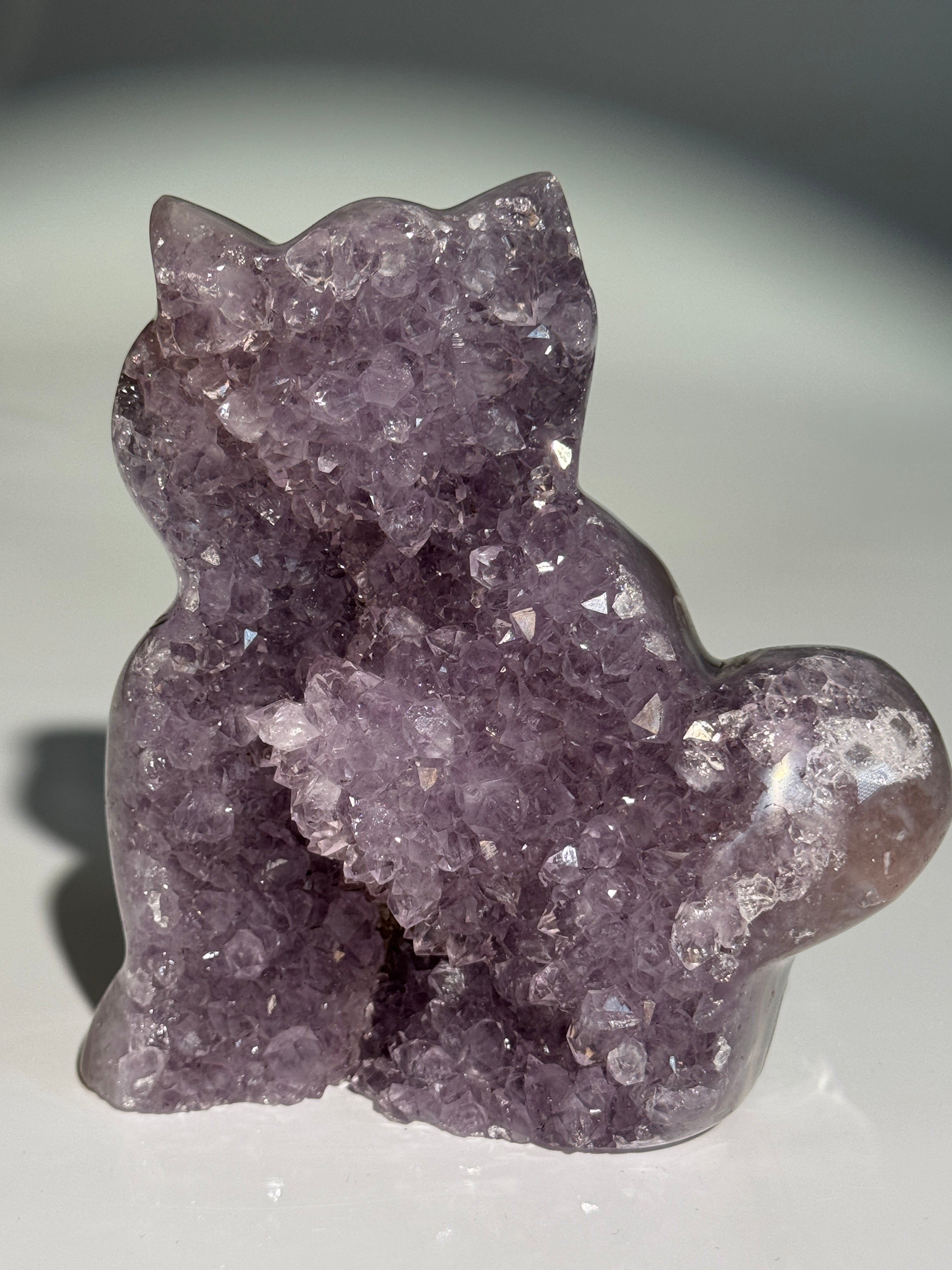 Lavendel Amethyst Katze