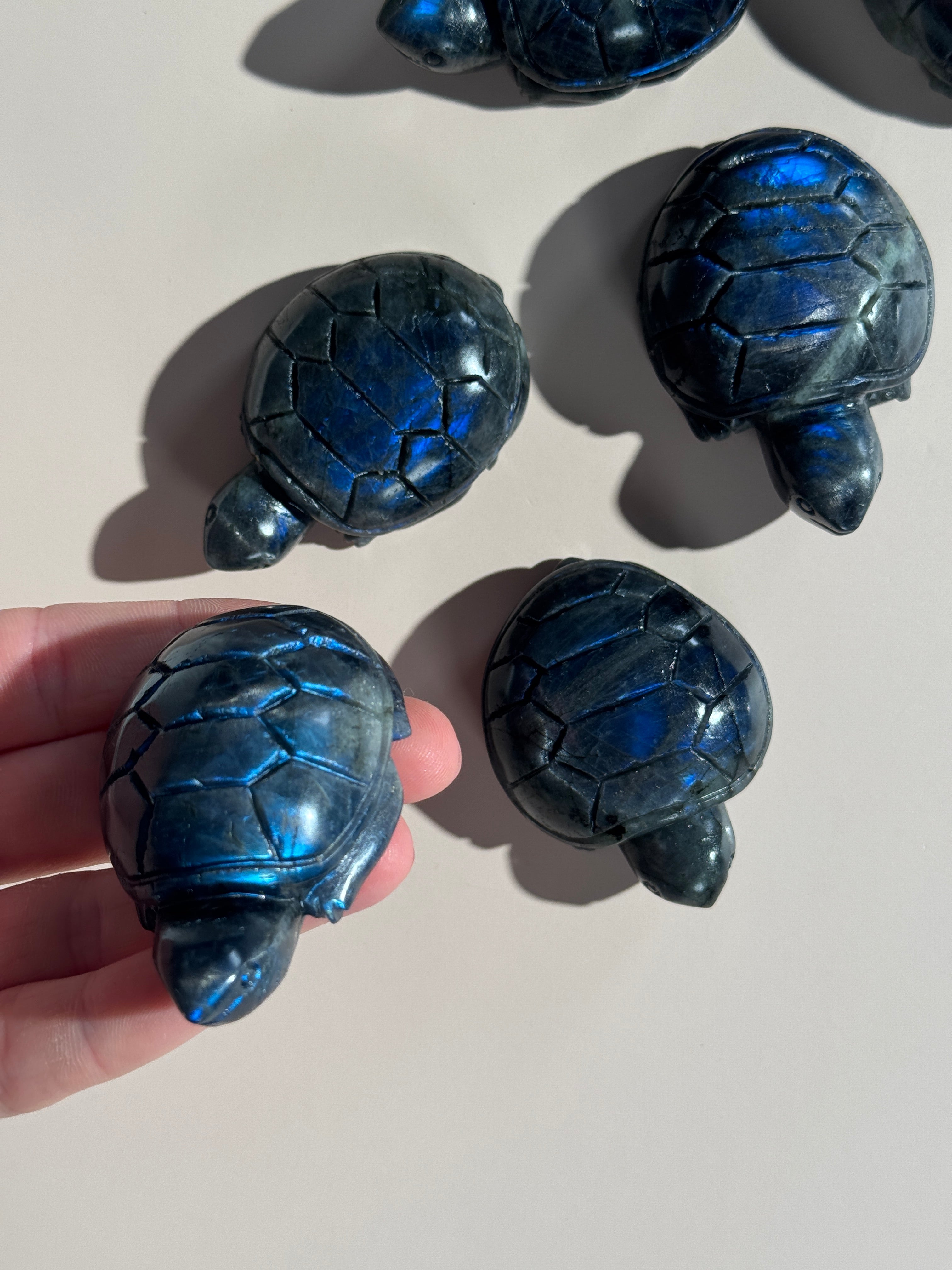 Labradorit Schildkröte