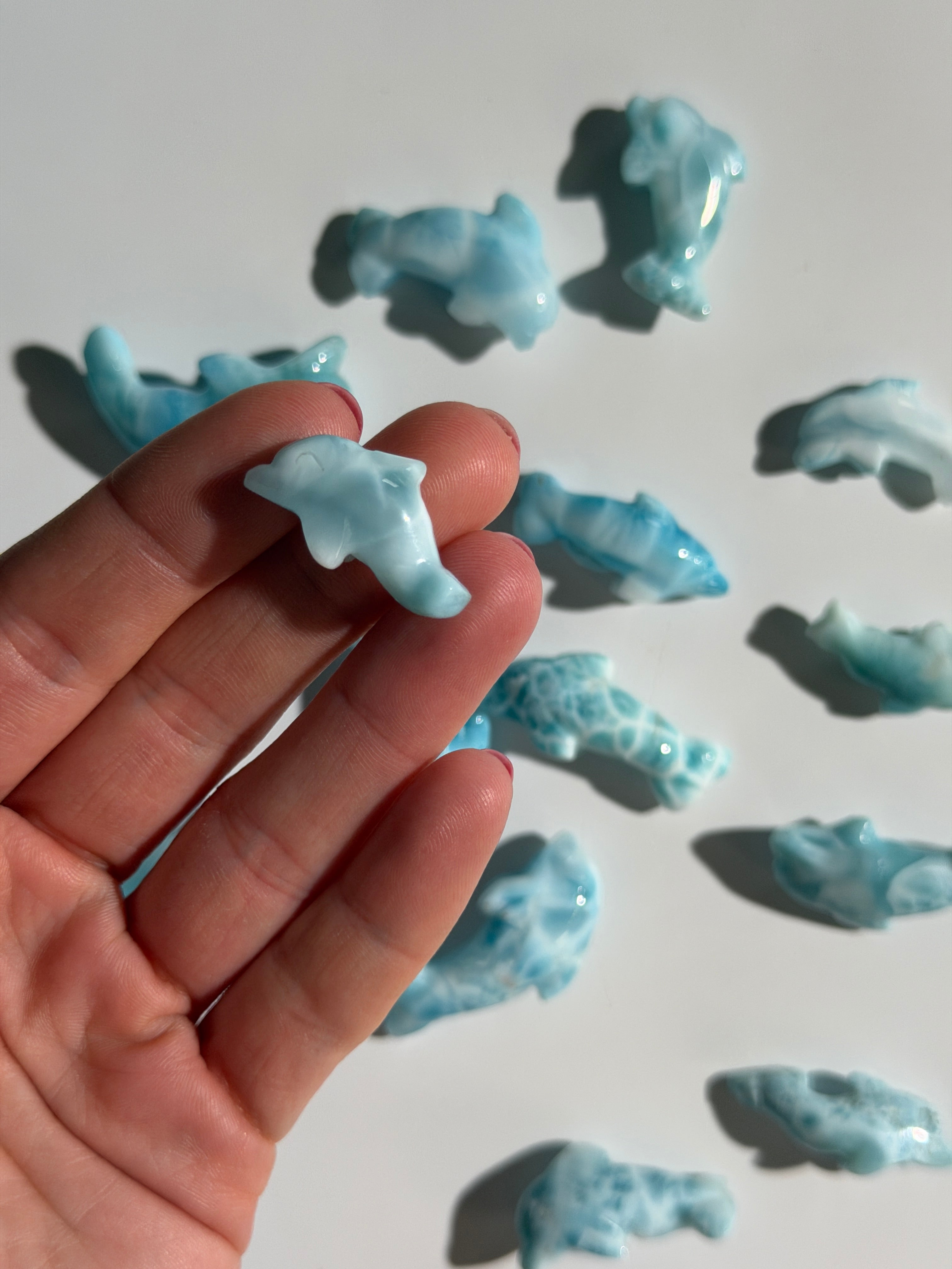 Larimar Delfin | High Quality