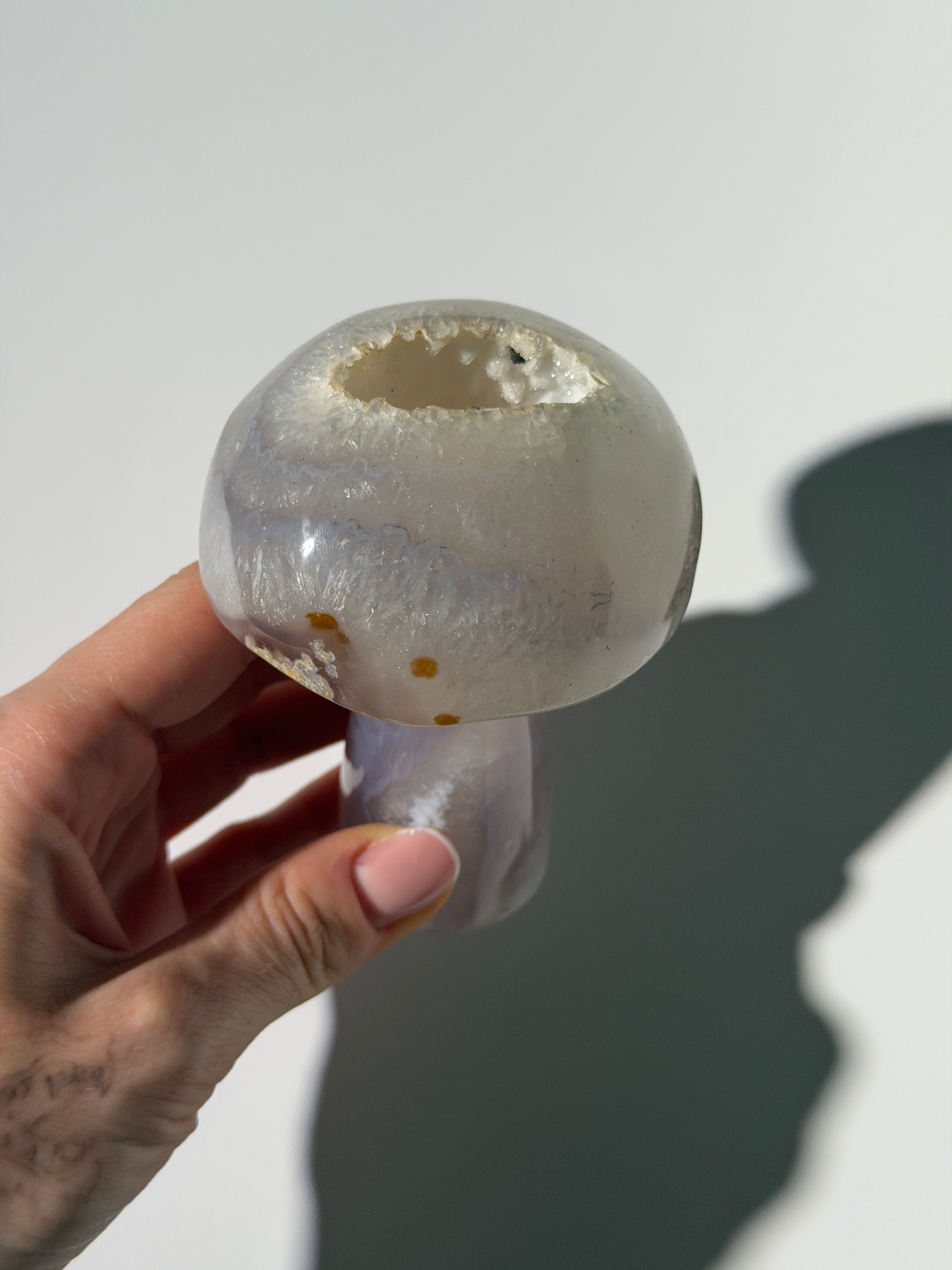 Druzy Achat Pilz
