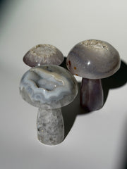 Druzy Achat Pilz
