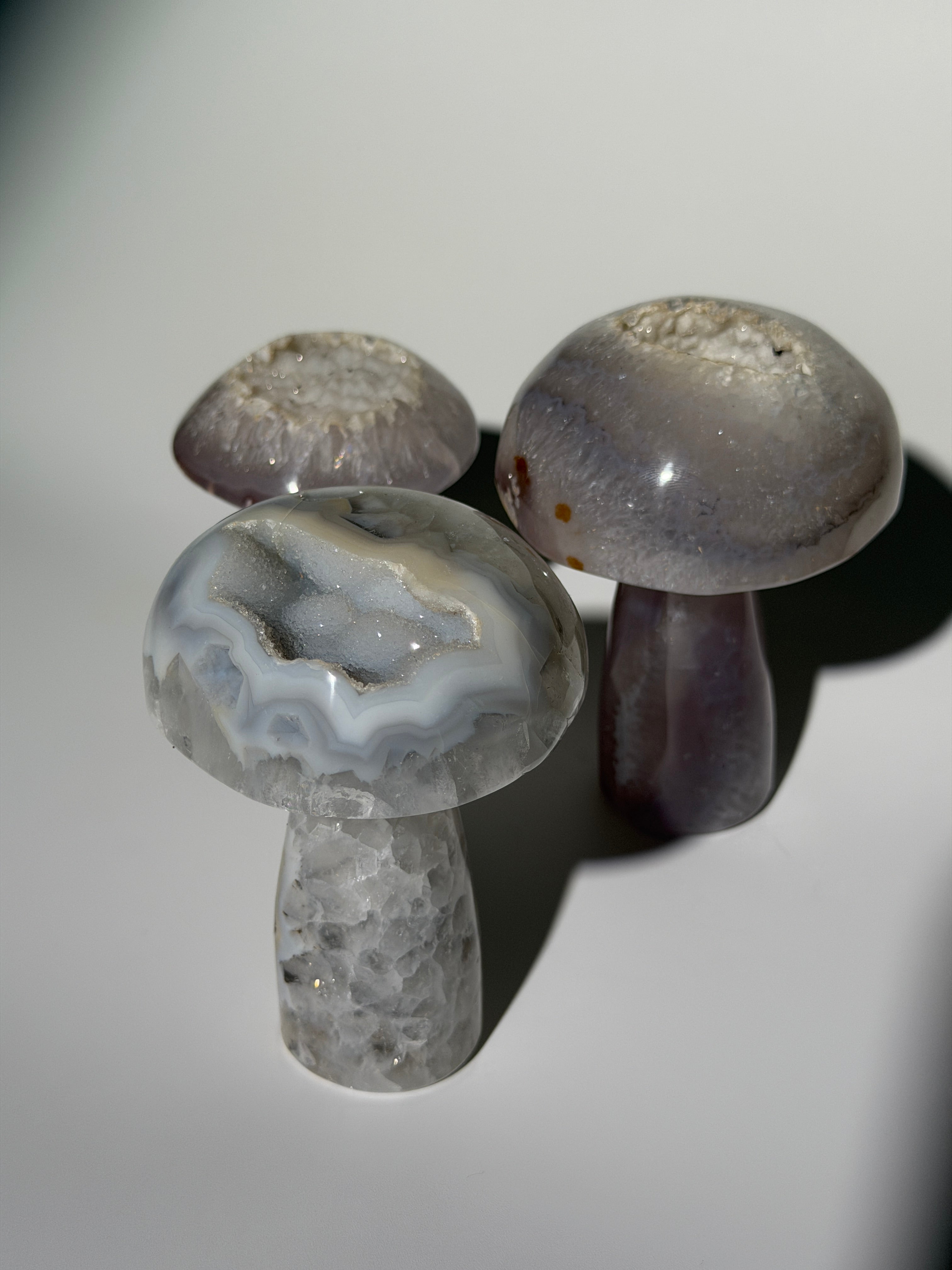 Druzy Achat Pilz
