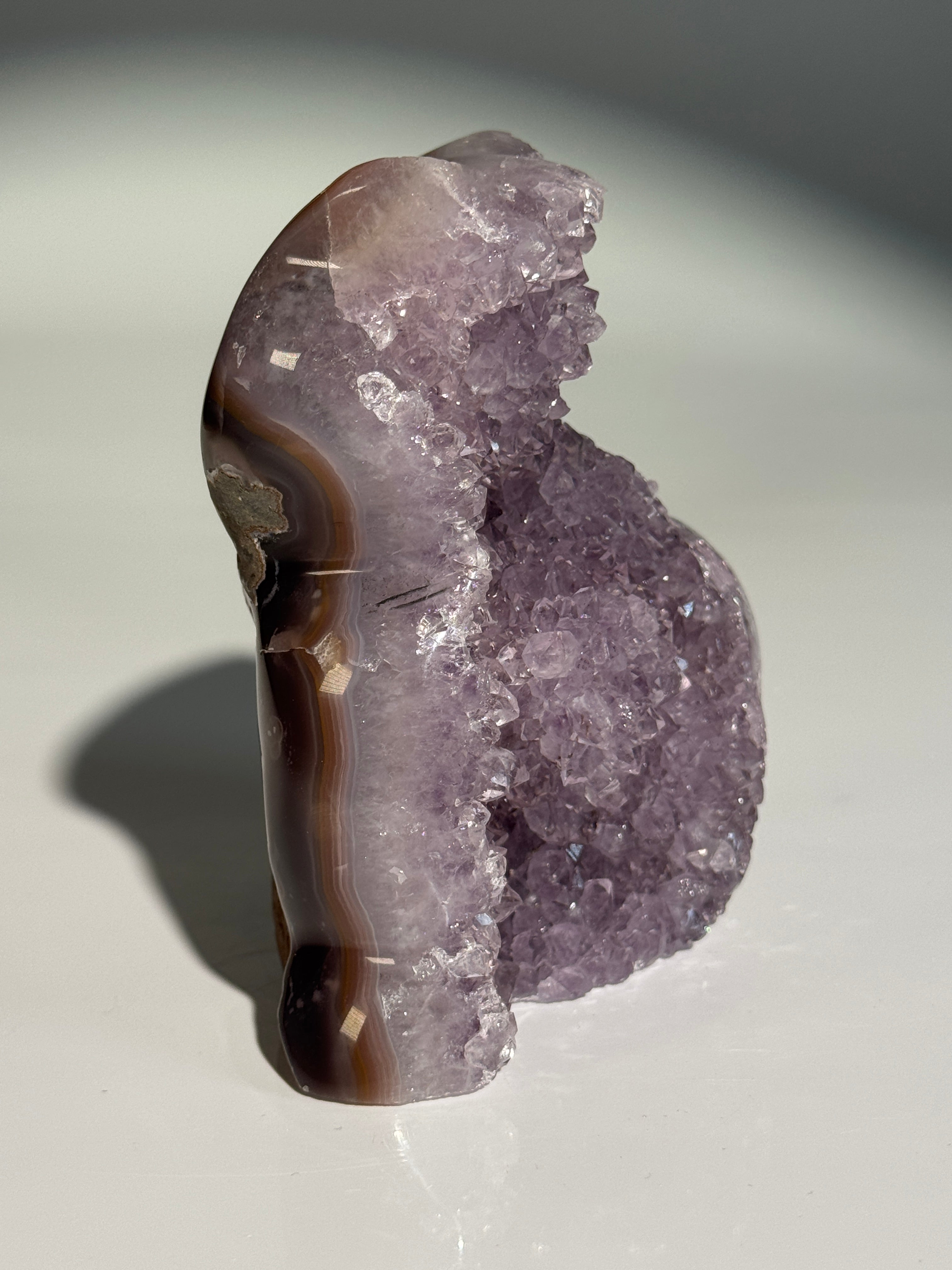 Lavendel Amethyst Katze