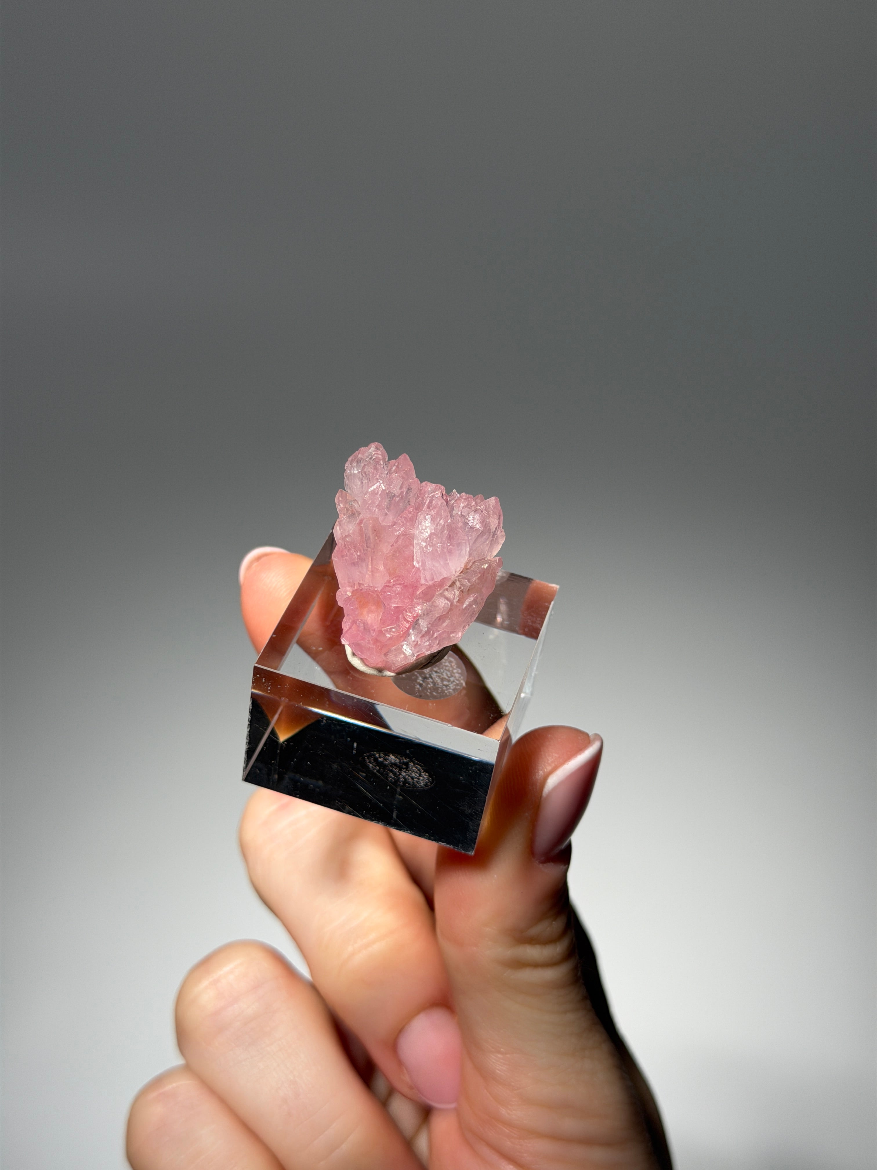 Kristallisierter Rosenquarz Specimen | Rare