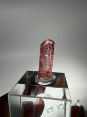 Pink Turmalin Specimen | High Quality