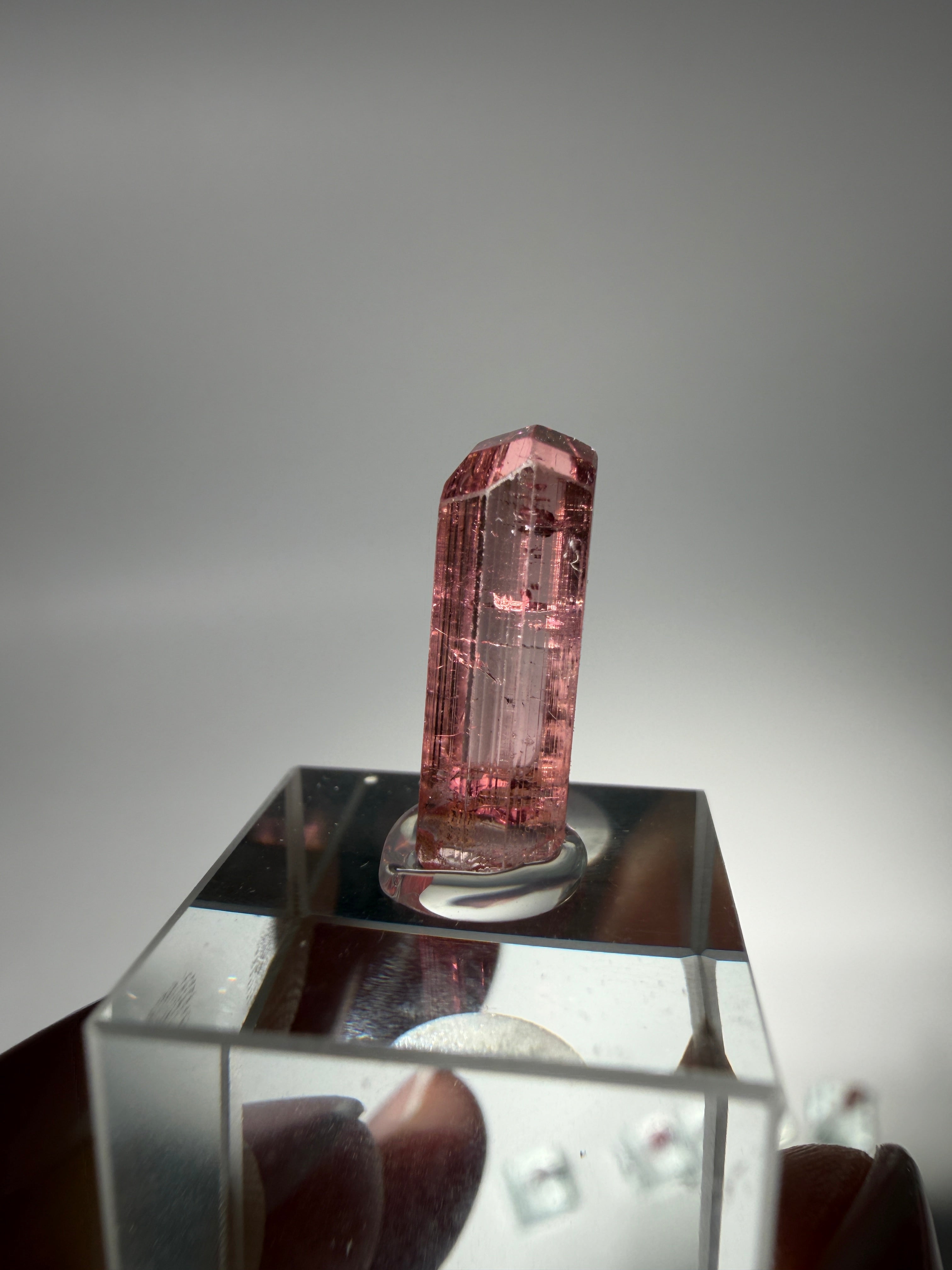 Pink Turmalin Specimen | High Quality