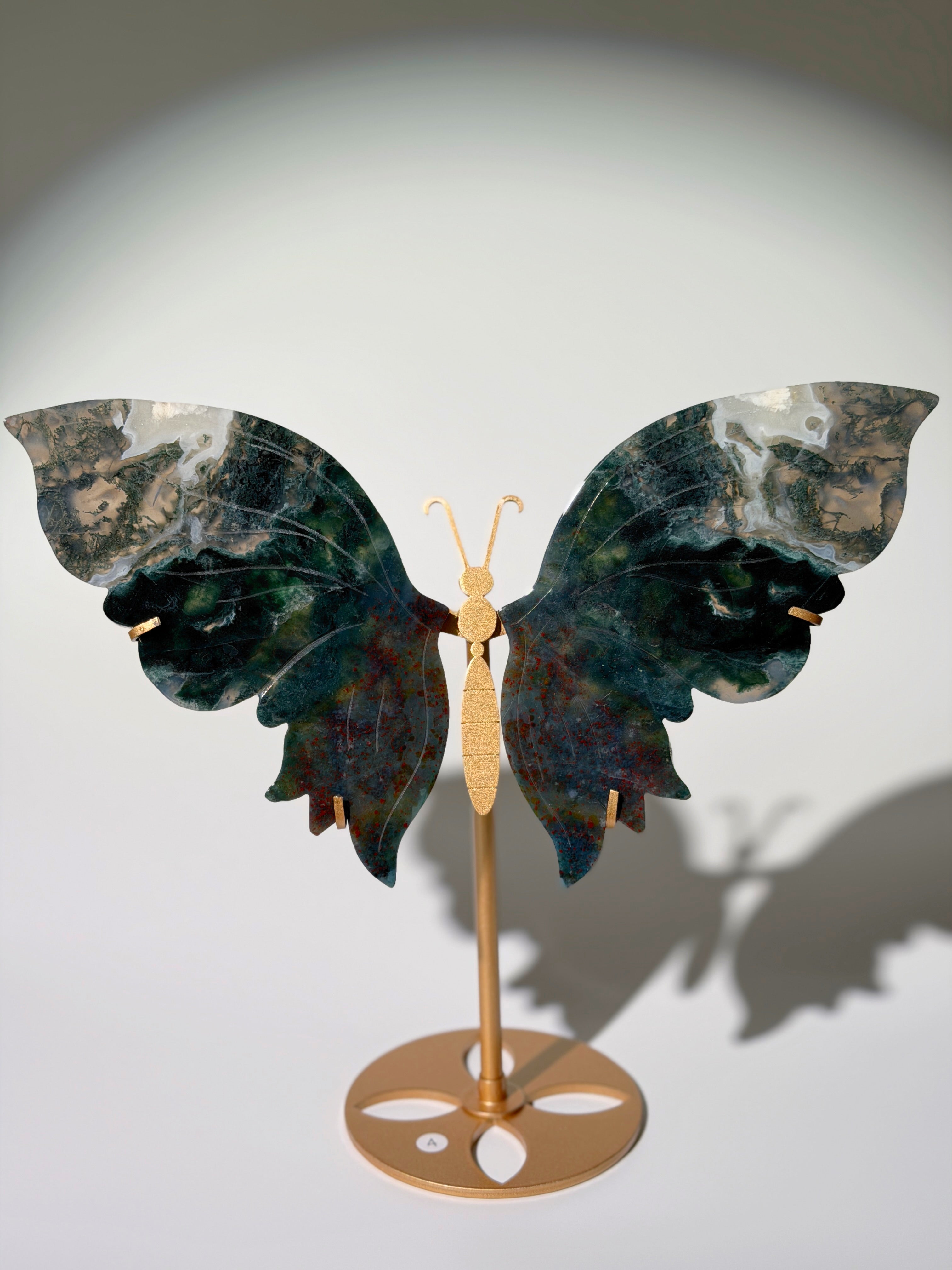 Moosachat Schmetterling XL