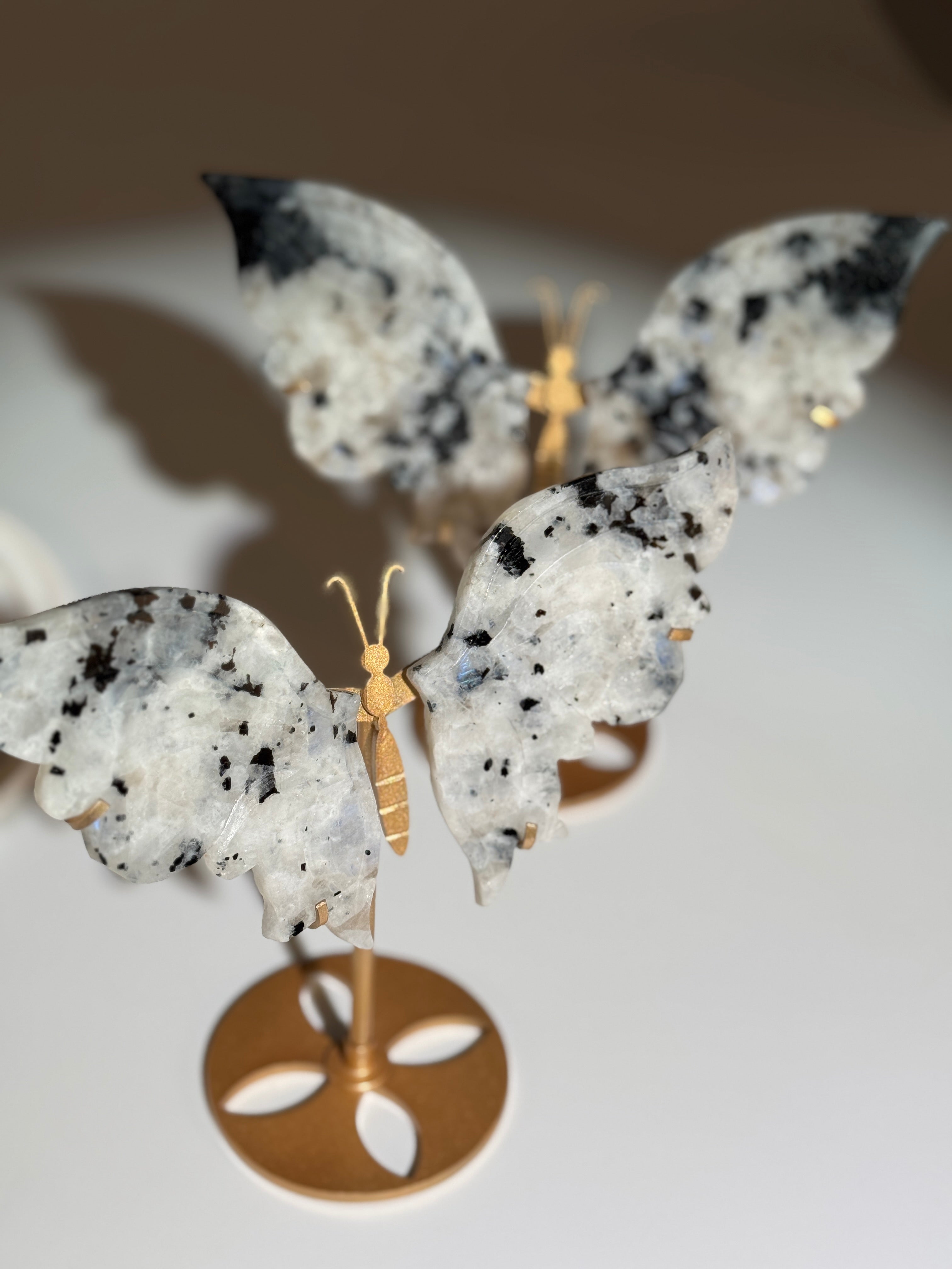 Weißer Labradorit Schmetterling