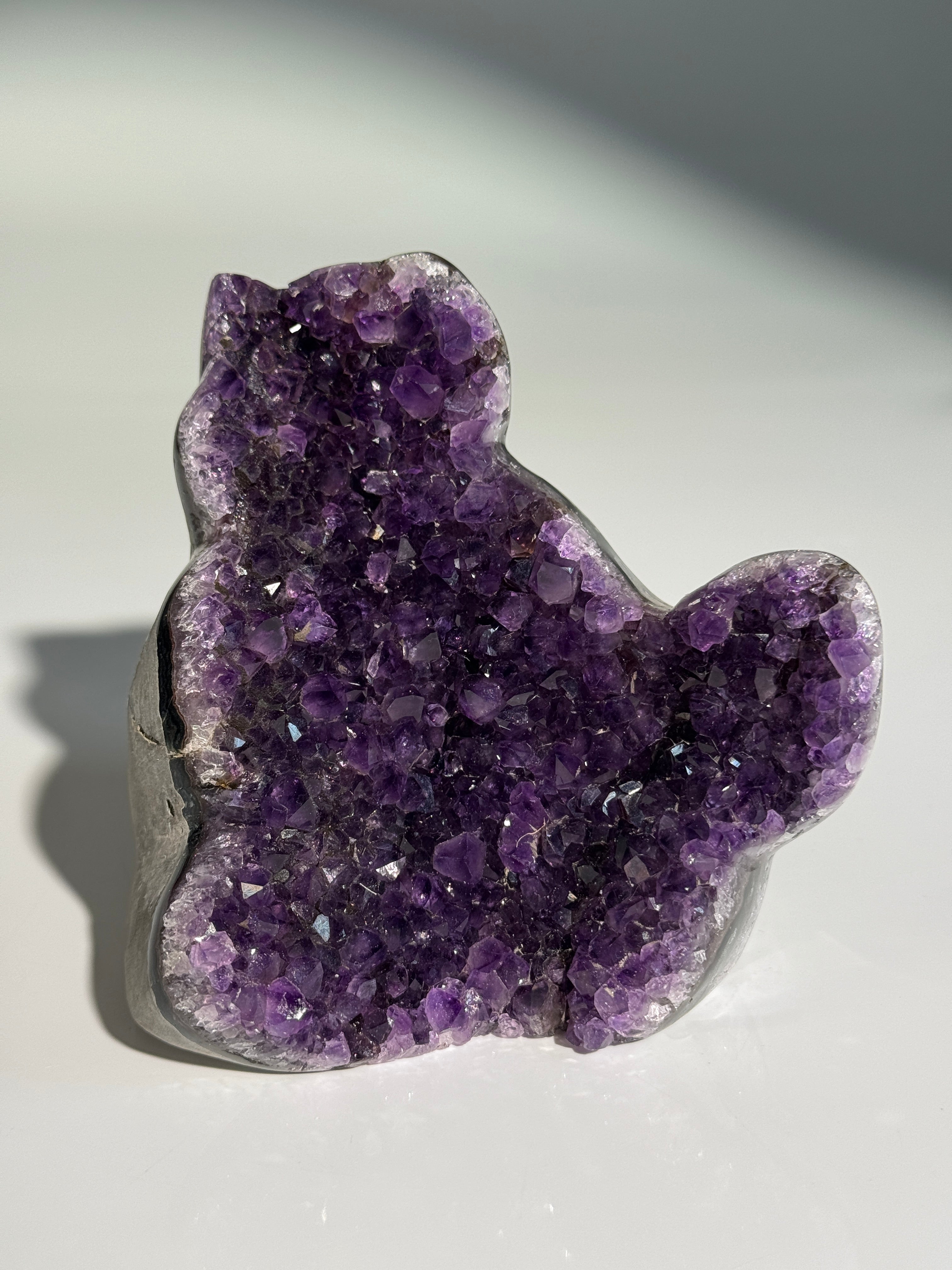 Amethyst Katze L