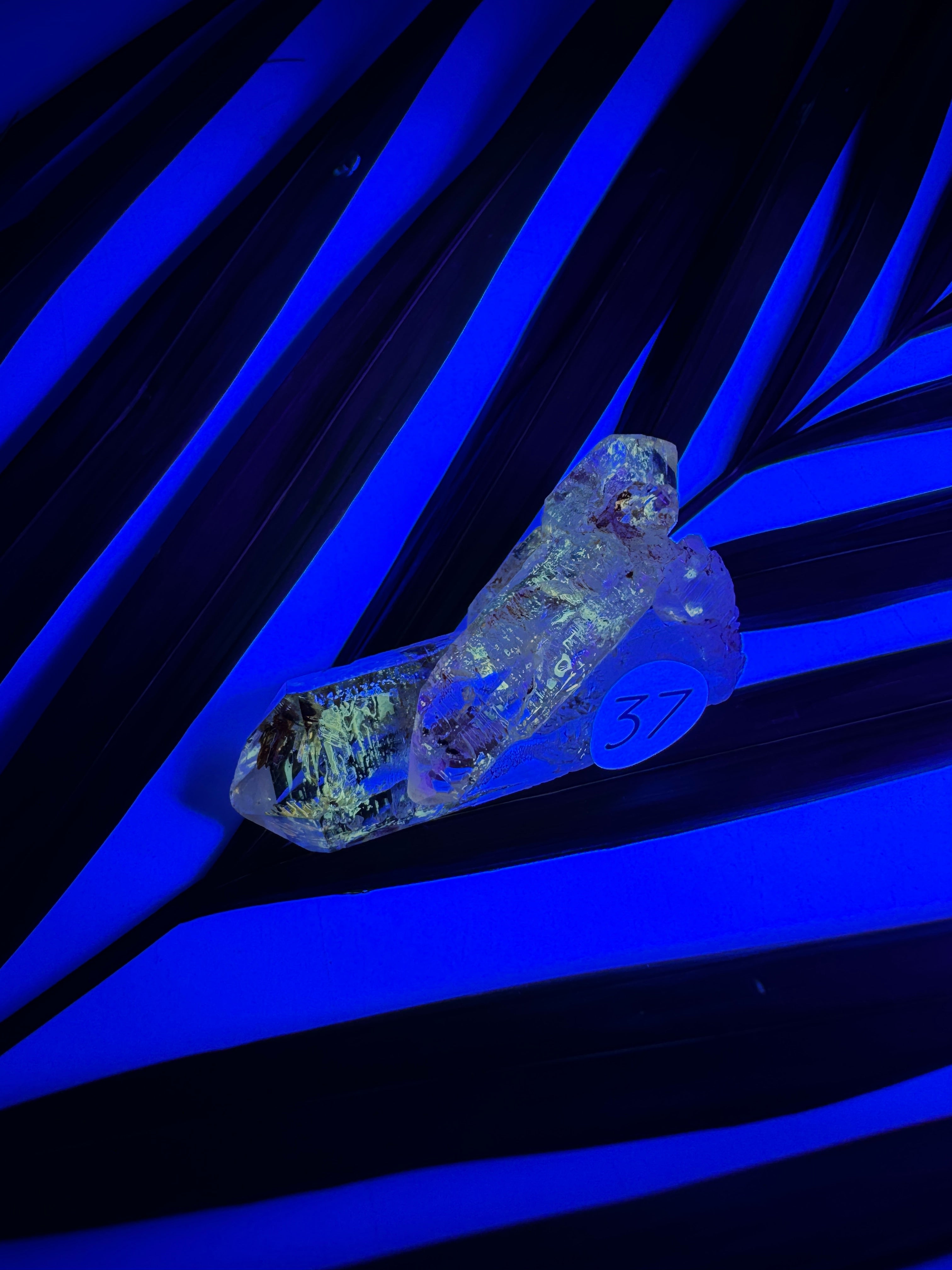 Petroleum Quarz (Super-UV)