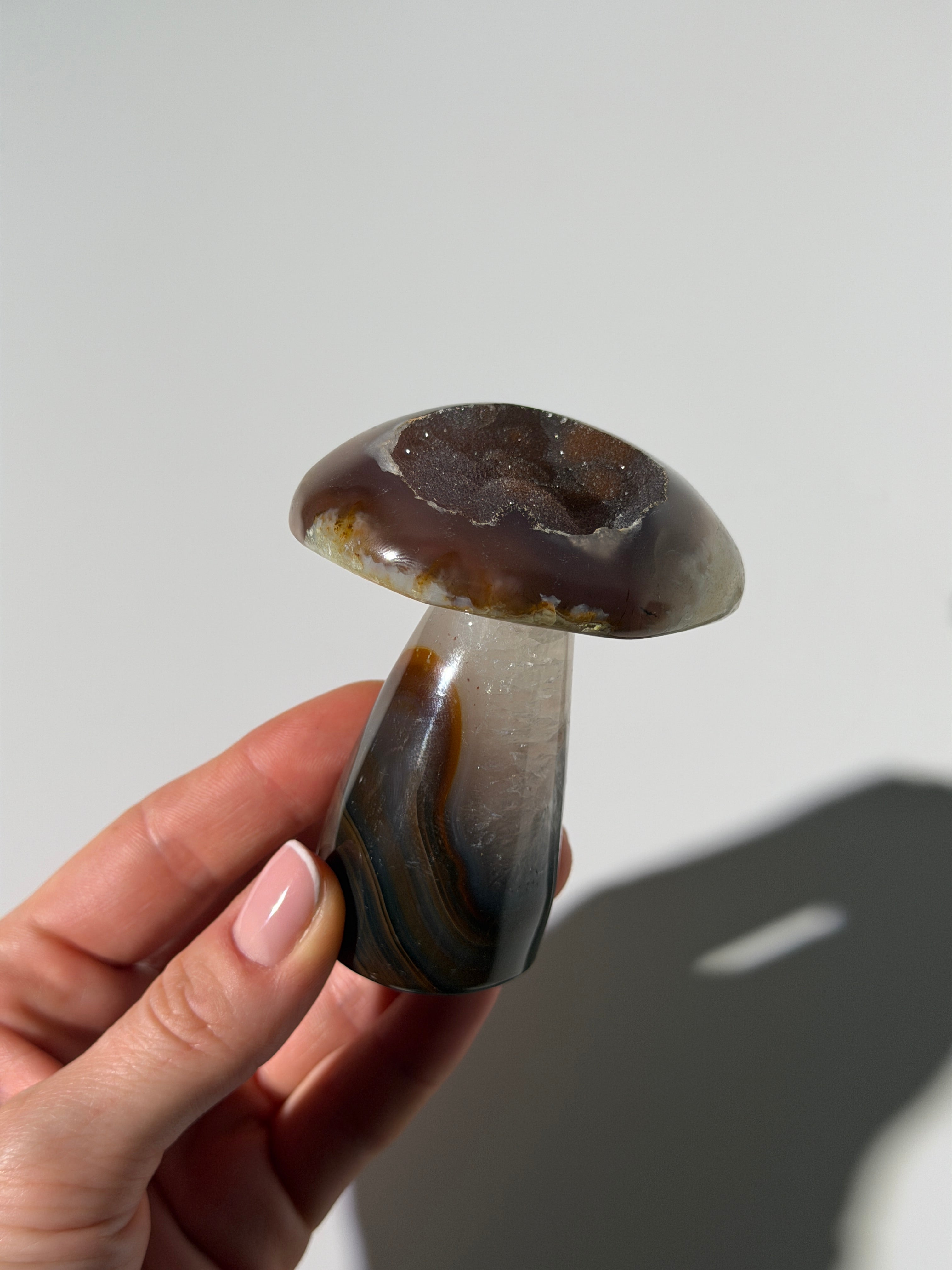 Druzy Achat Pilz