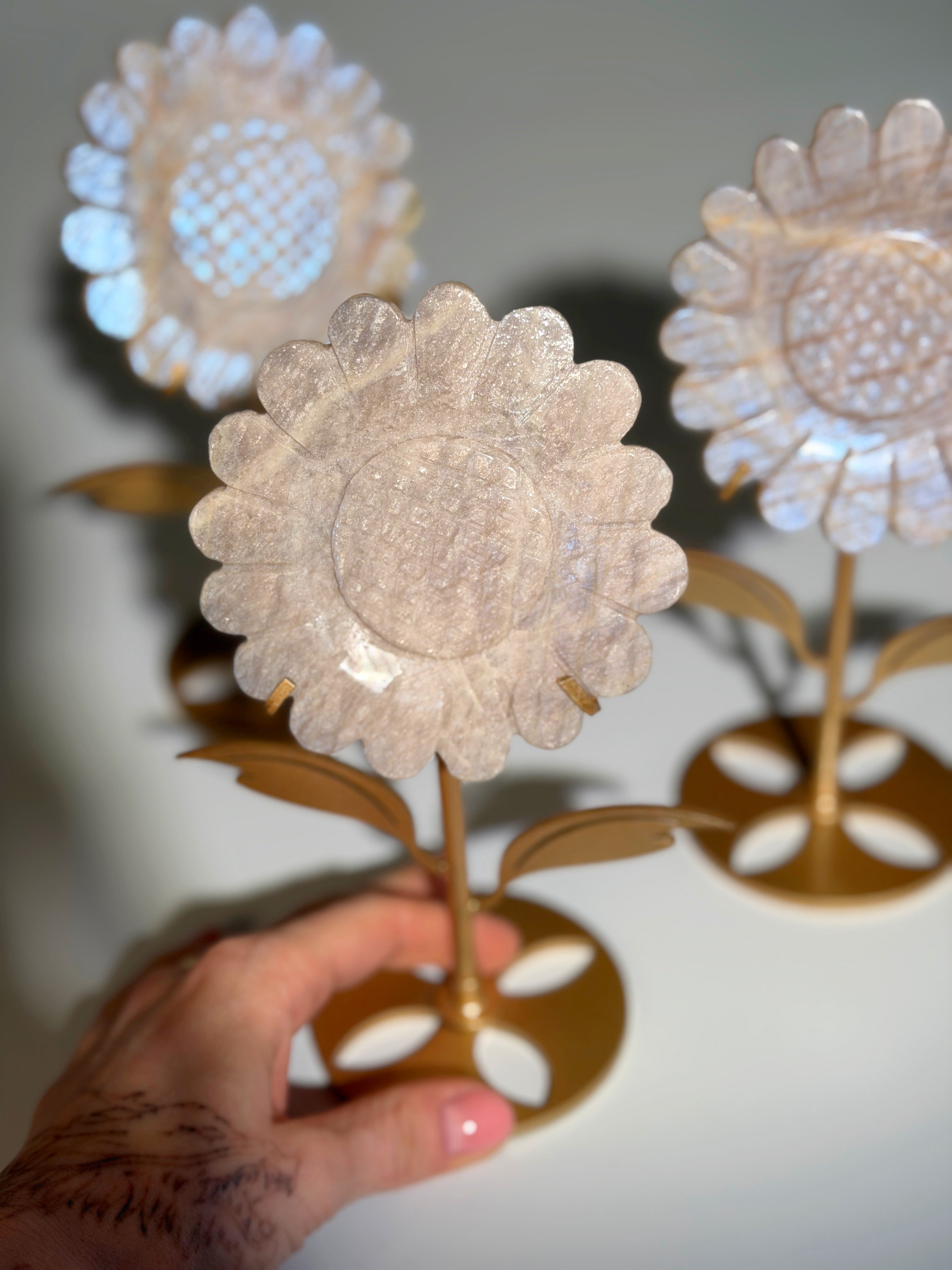 Mondstein Sonnenblume