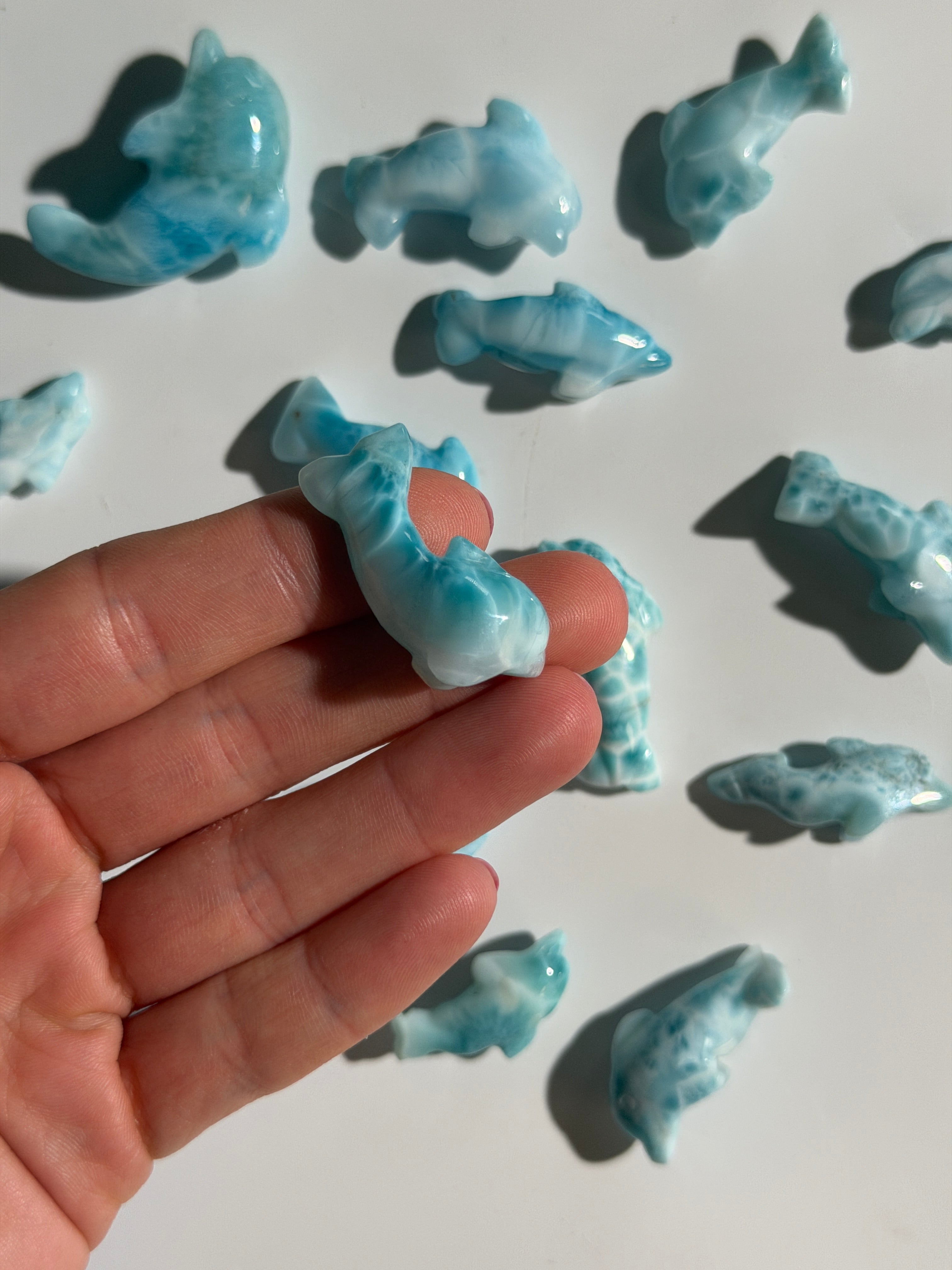 Larimar Delfin | High Quality
