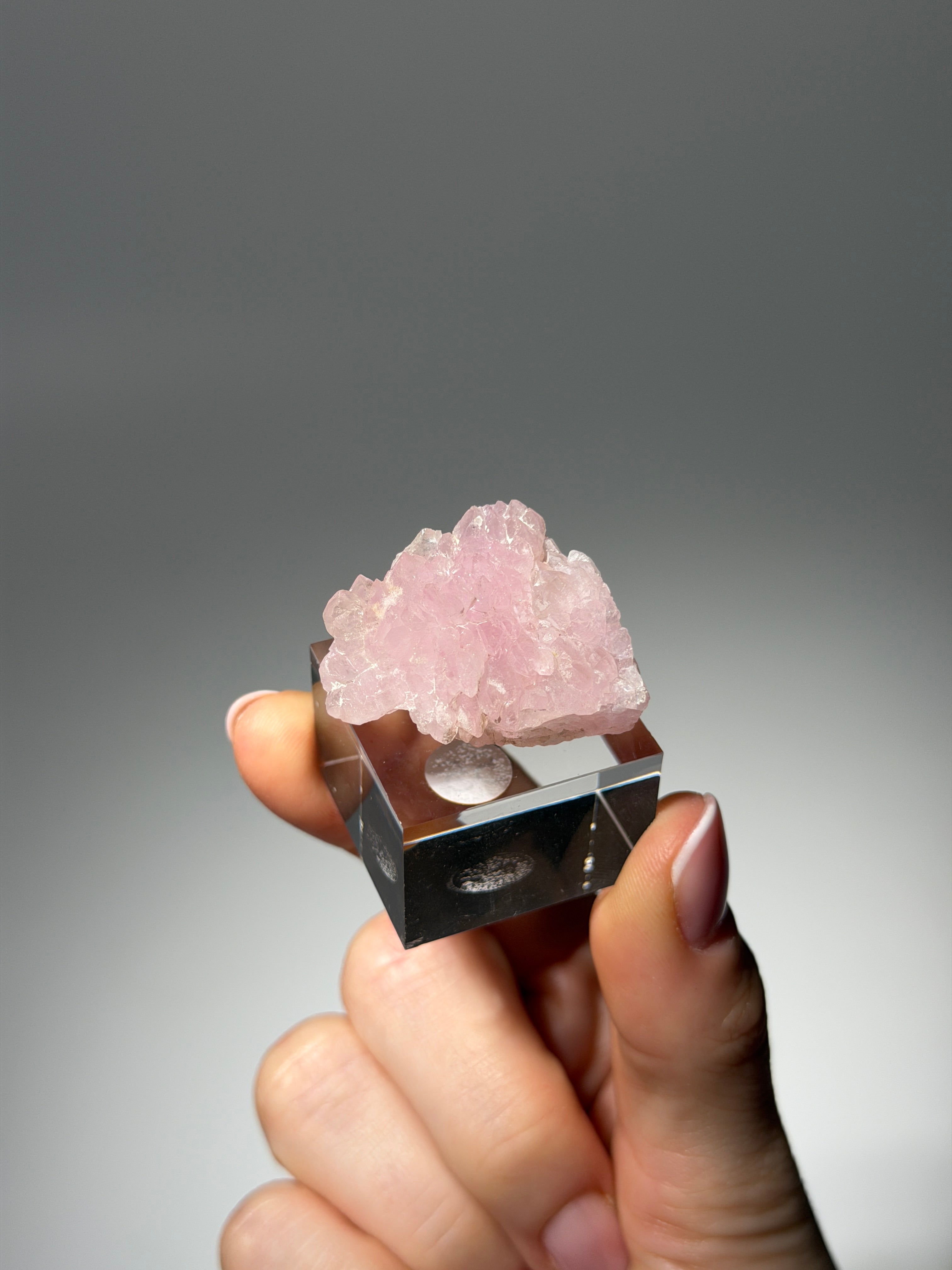 Kristallisierter Rosenquarz Specimen | Rare