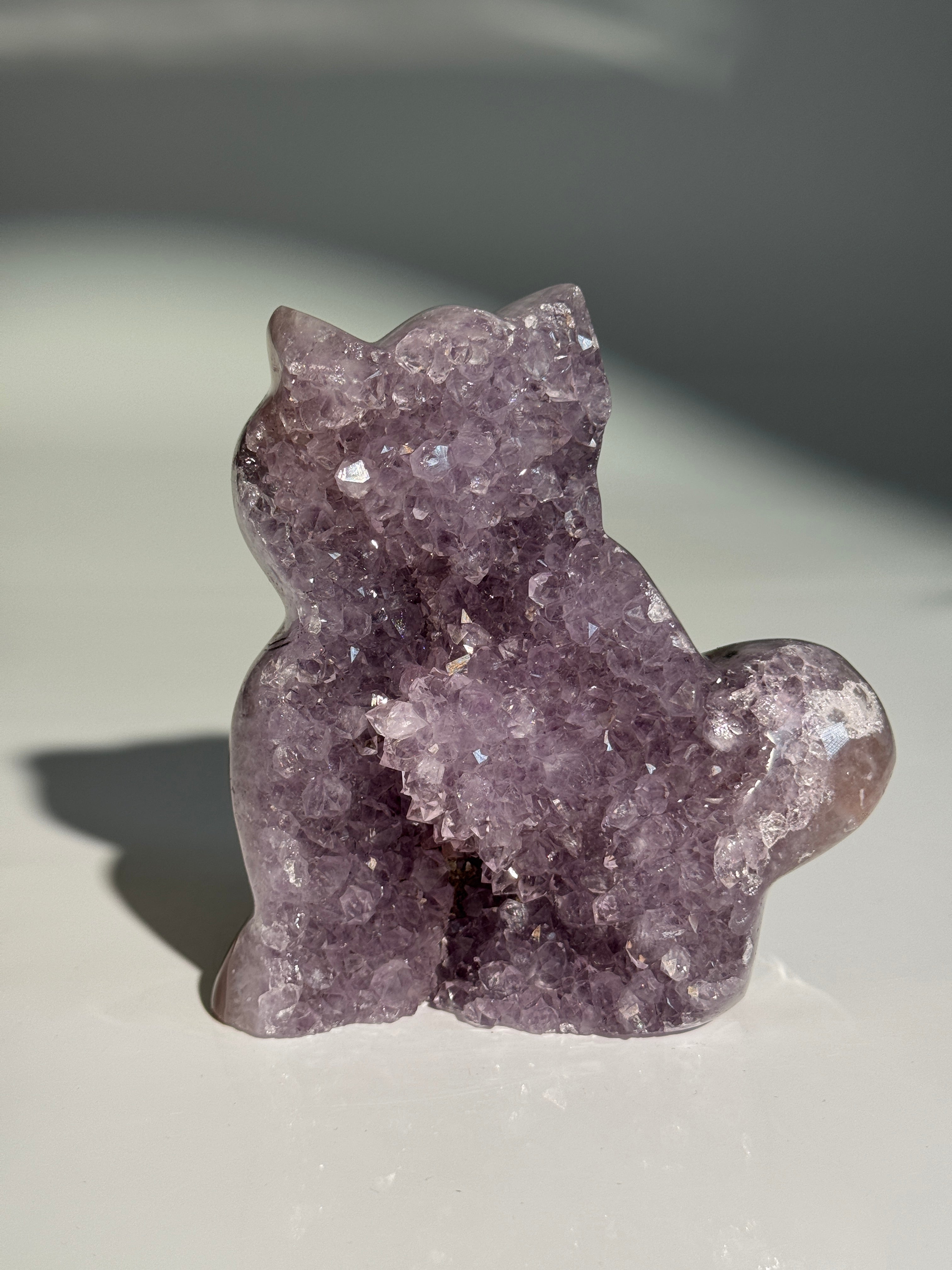 Lavendel Amethyst Katze