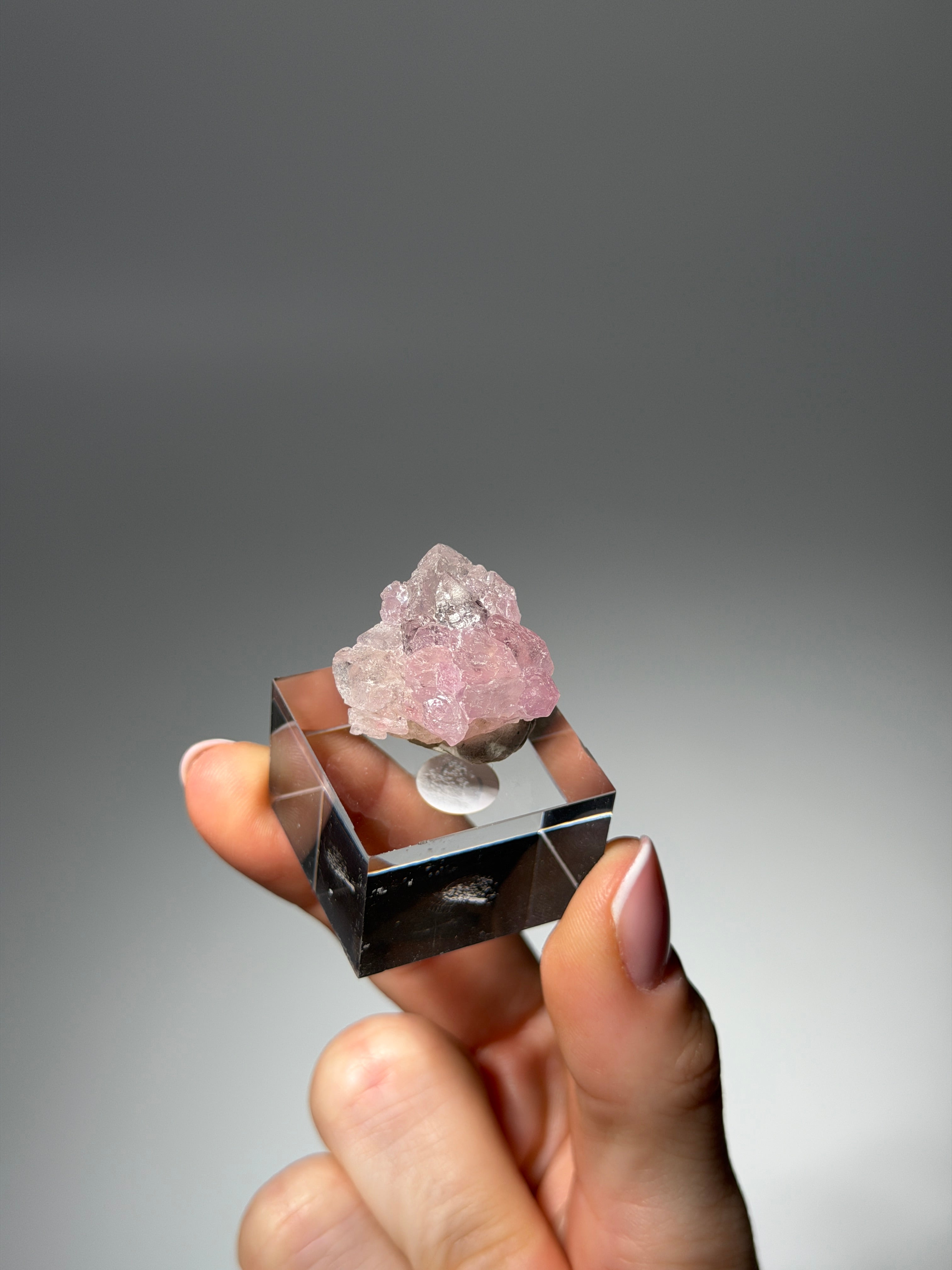 Kristallisierter Rosenquarz Specimen | Rare