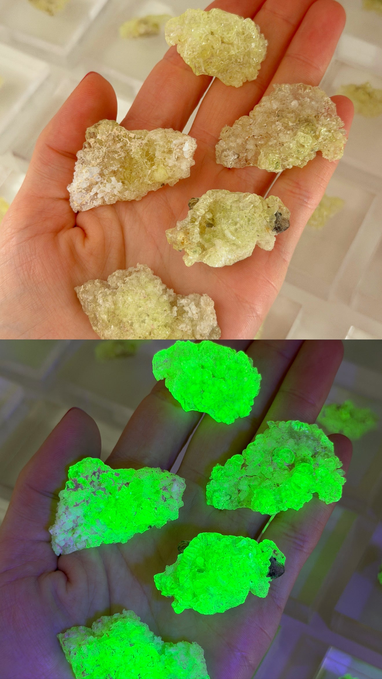 Hyalit Opal | starke UV-Reaktion | Medium