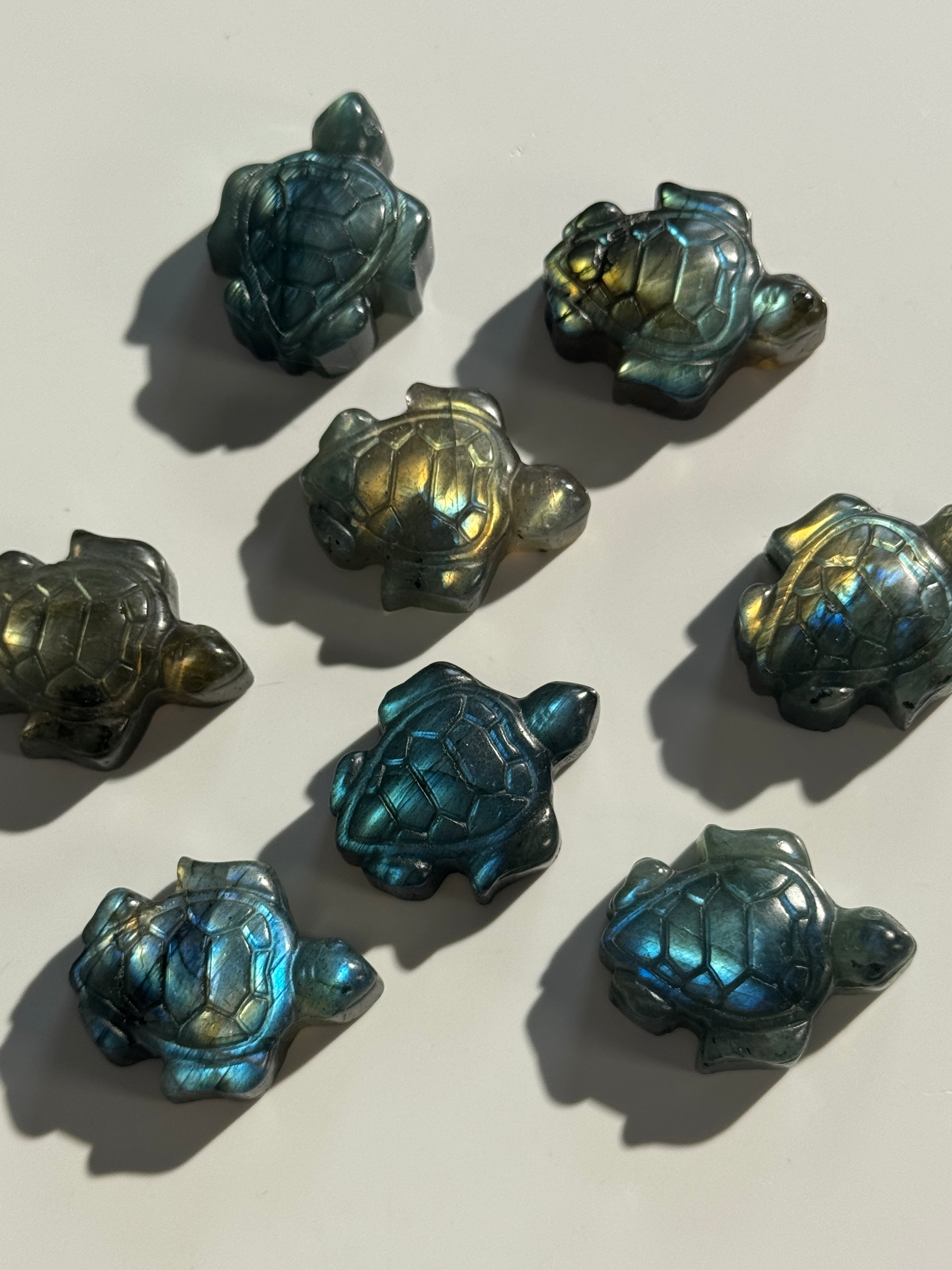 Labradorit Schildkröte