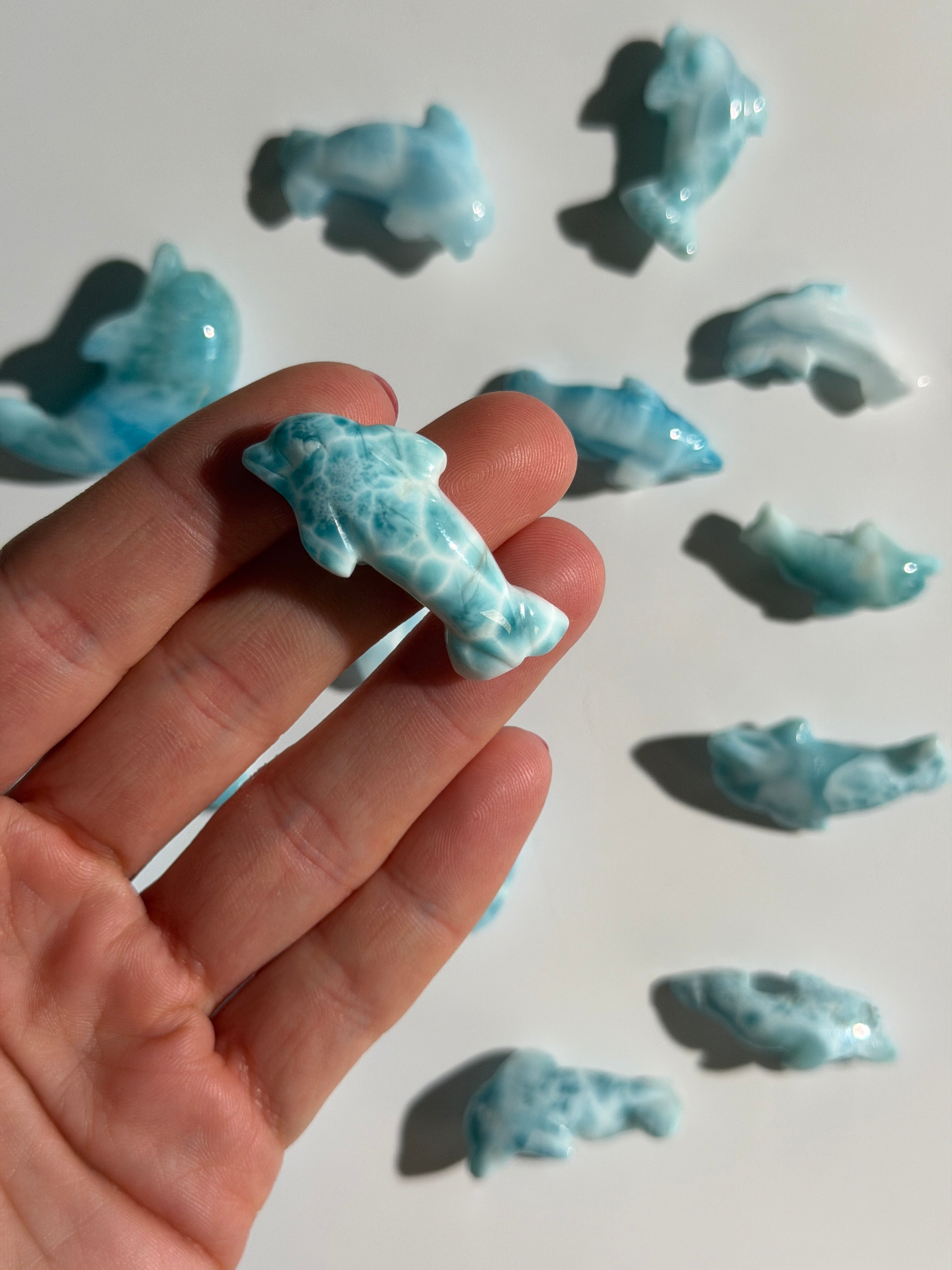 Larimar Delfin | High Quality