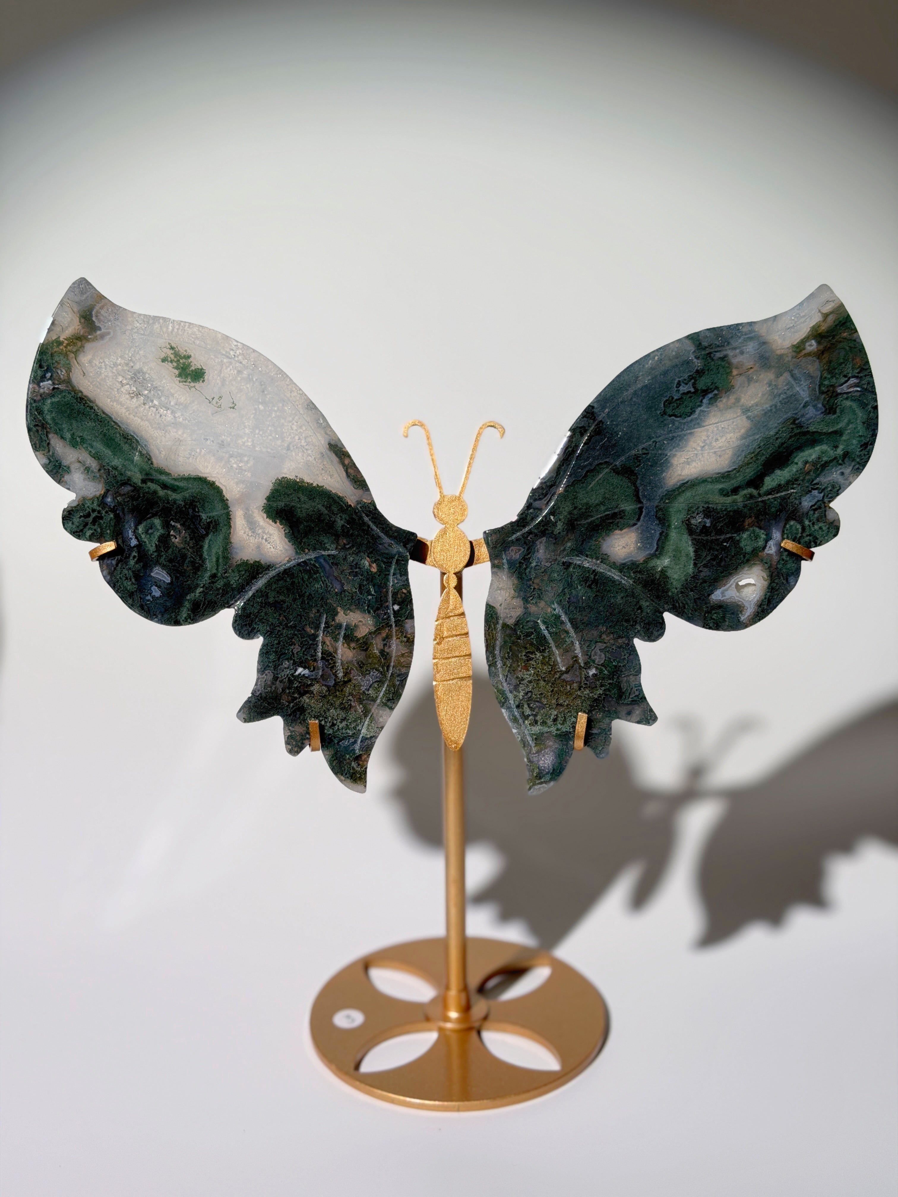 Moosachat Schmetterling XL