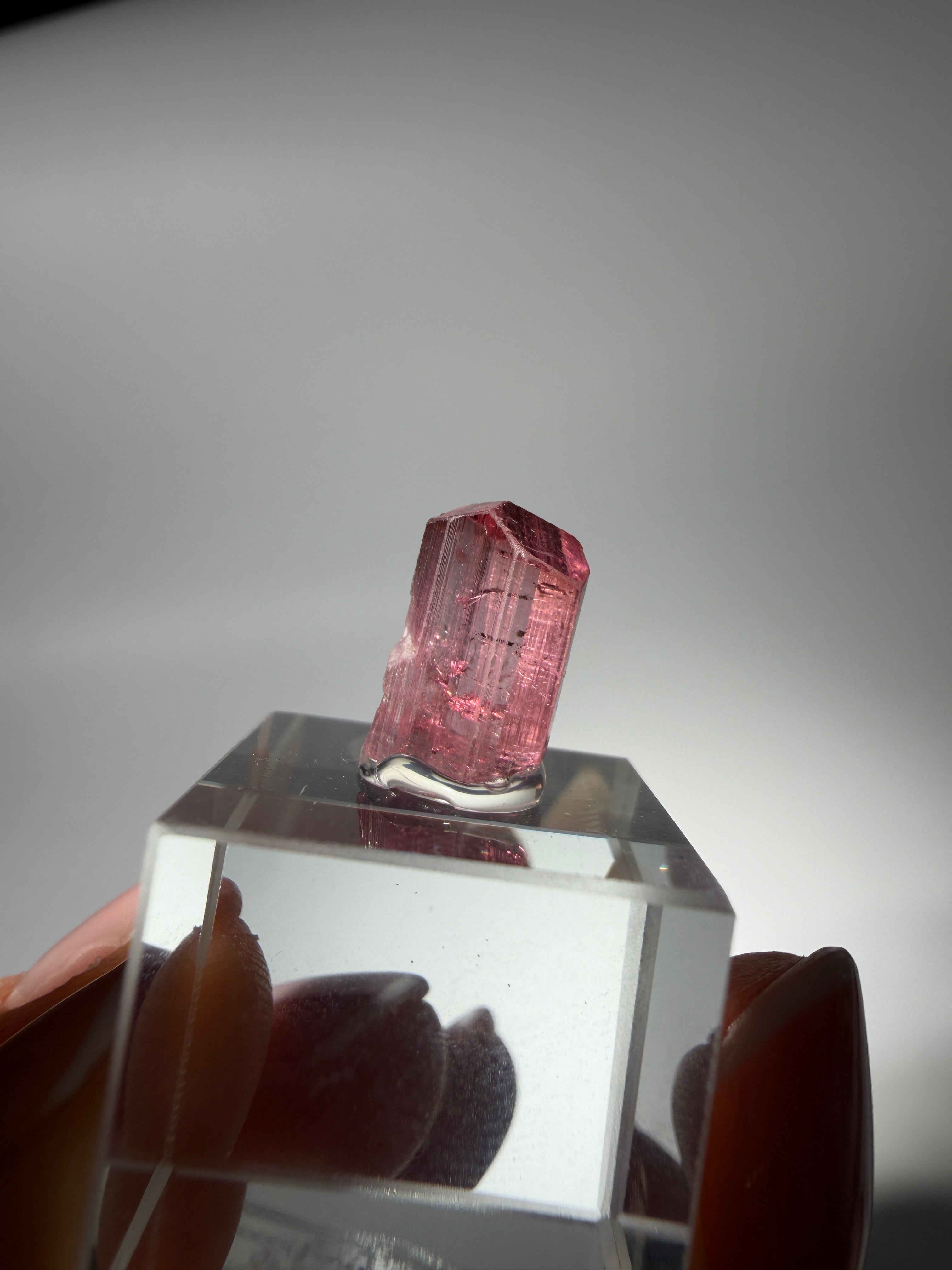 Pink Turmalin Specimen | High Quality