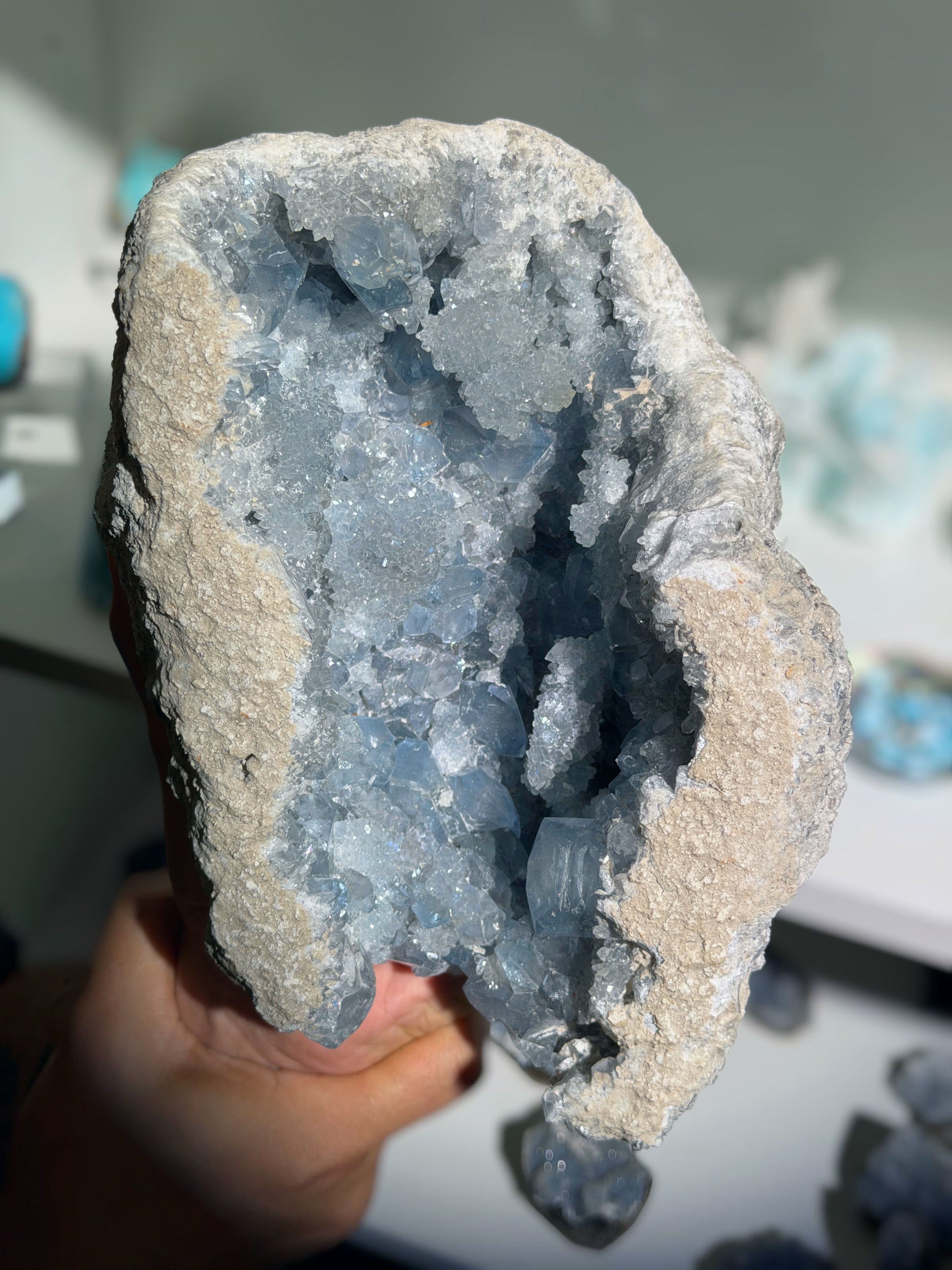 Celestit Coelestin Geode | 6,9kg
