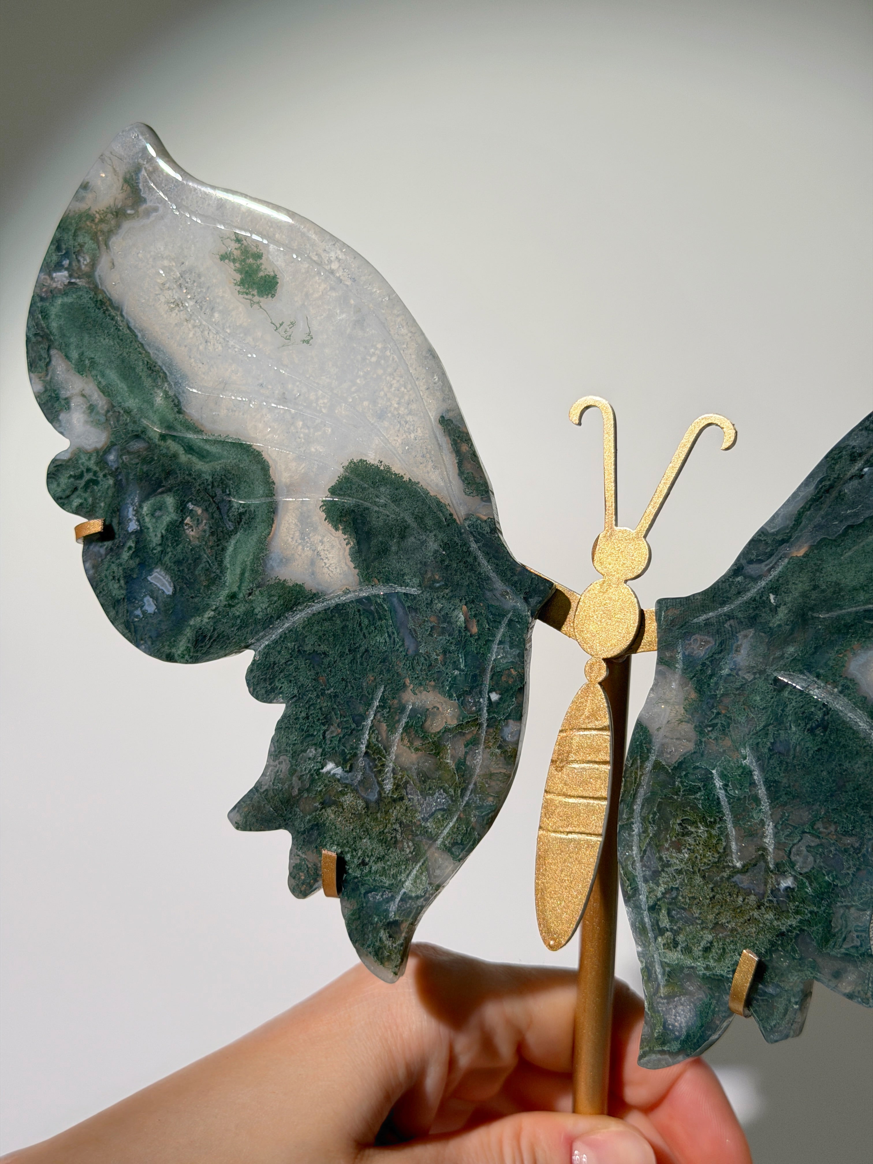 Moosachat Schmetterling XL